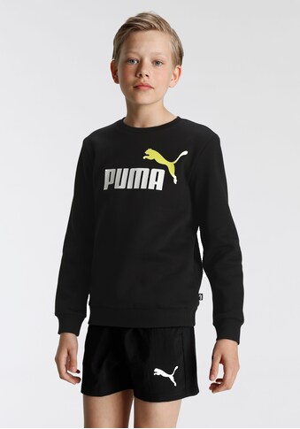 PUMA Sweatshirt »ESS+ 2 Col Big Logo Crew FL B« kaufen