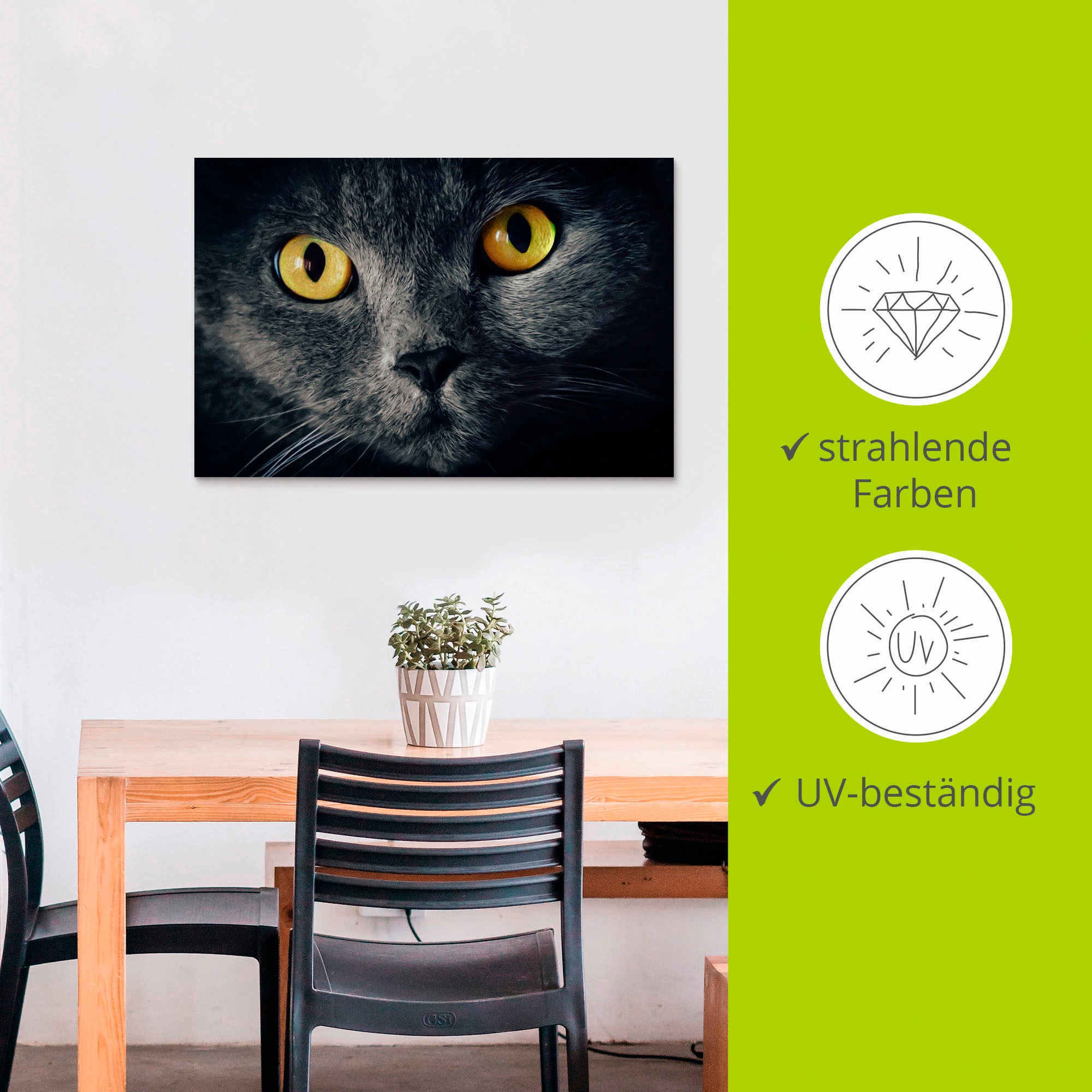 Artland Wandbild »Katzenaugen«, Haustiere, (1 St.), als Alubild, Outdoorbild, Leinwandbild, Poster in verschied. Größen