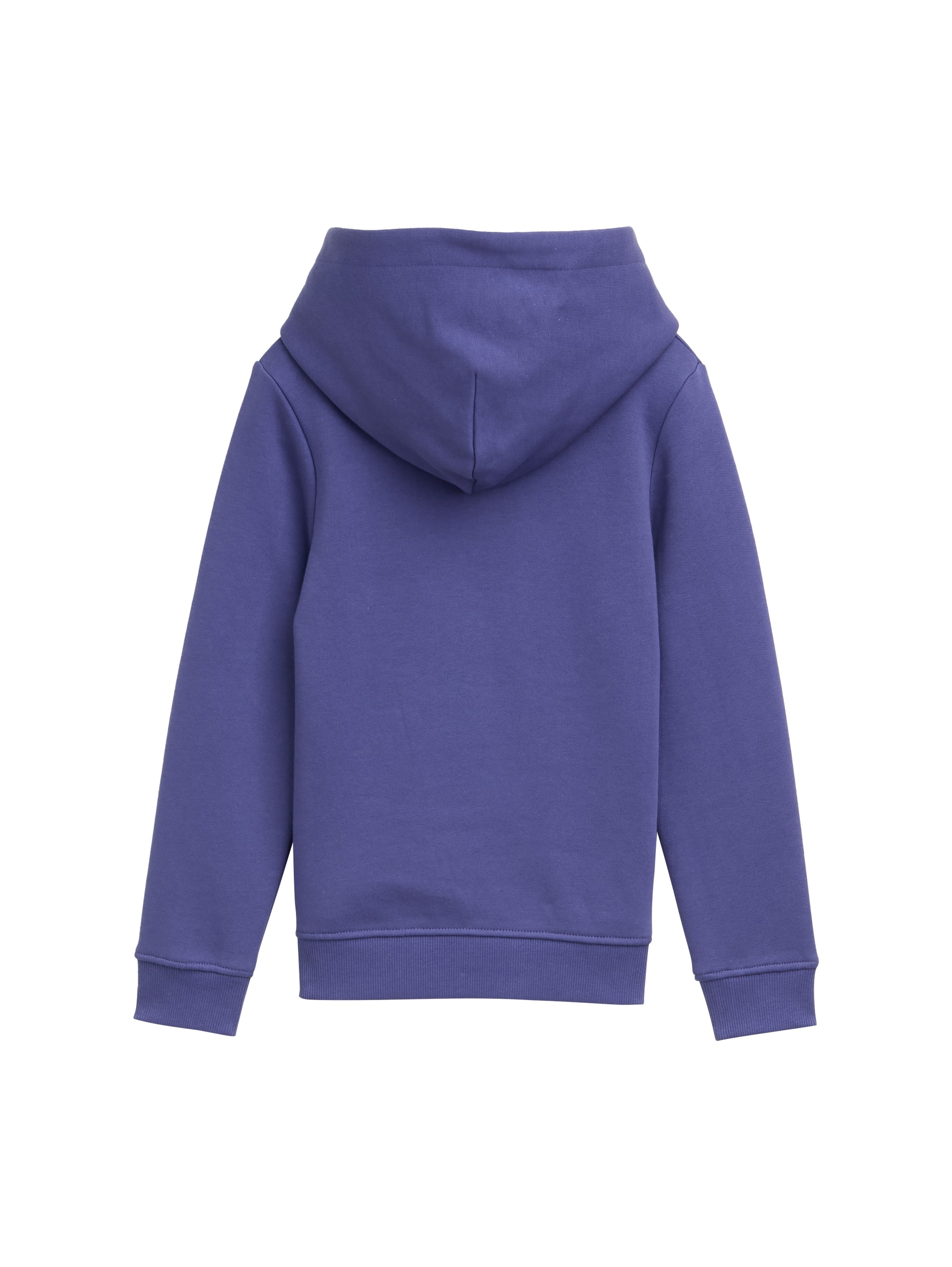 TOM TAILOR Hoodie, mit Kapuze