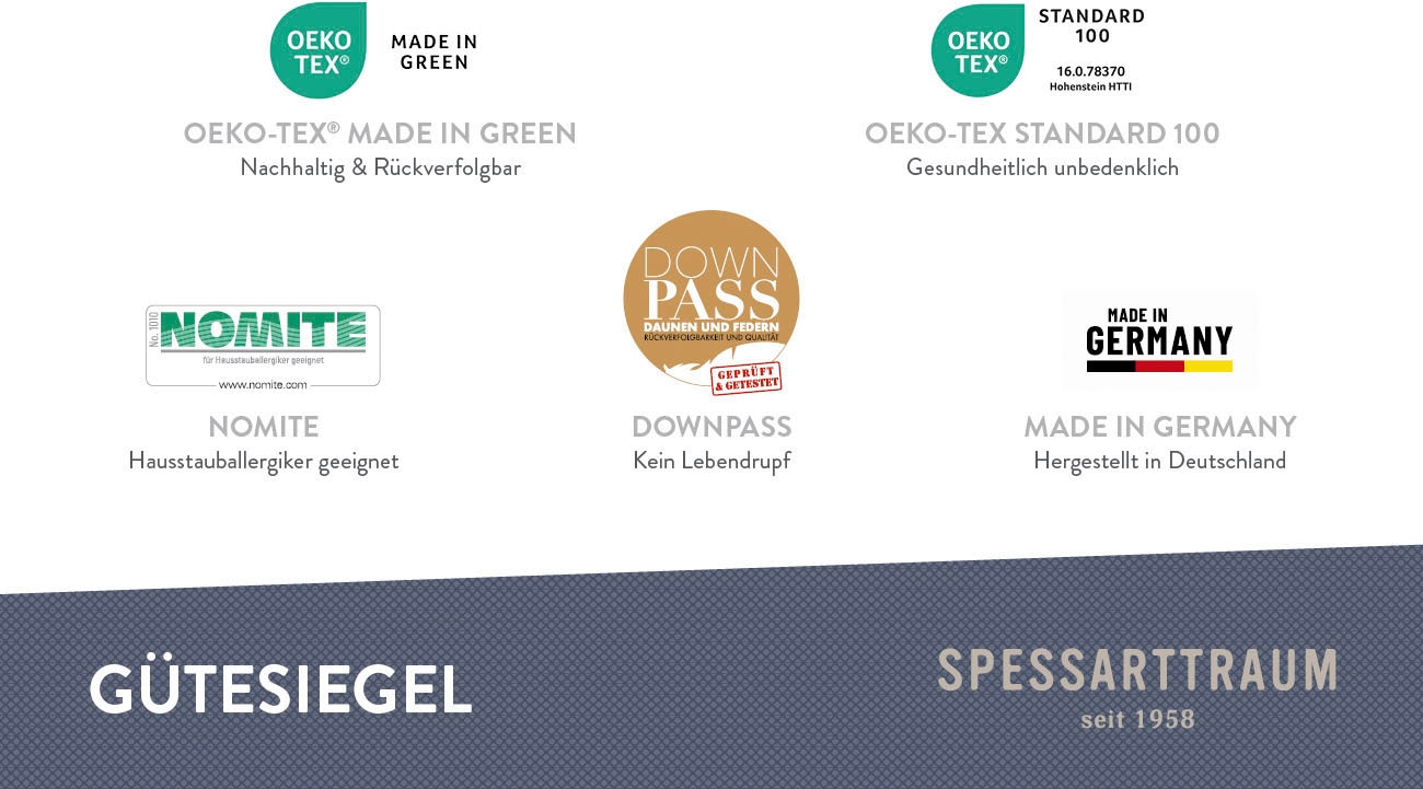 SPESSARTTRAUM Gänsedaunenbettdecke »Premium****, hergestellt in Deutschland«, Füllung 100% Gänsedaunen, Klasse 1, Downpass zertifiziert, Bezug 100% Baumwolle, nachhaltig (Made in Green), Hausstauballergiker geeignet, (1 St.)