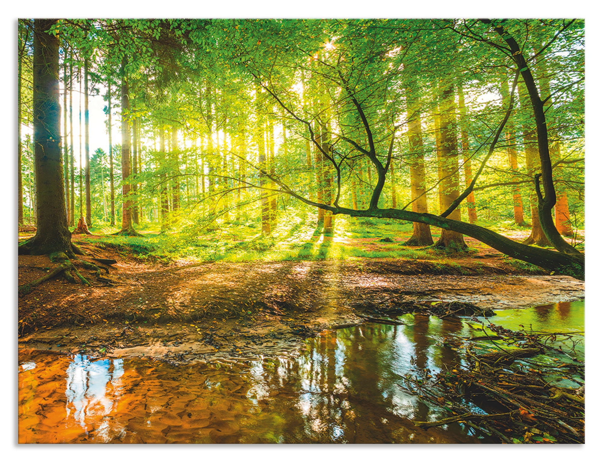 Artland Küchenrückwand »Wald mit Bach«, (1 tlg.), Alu Spritzschutz mit Klebeband, einfache Montage