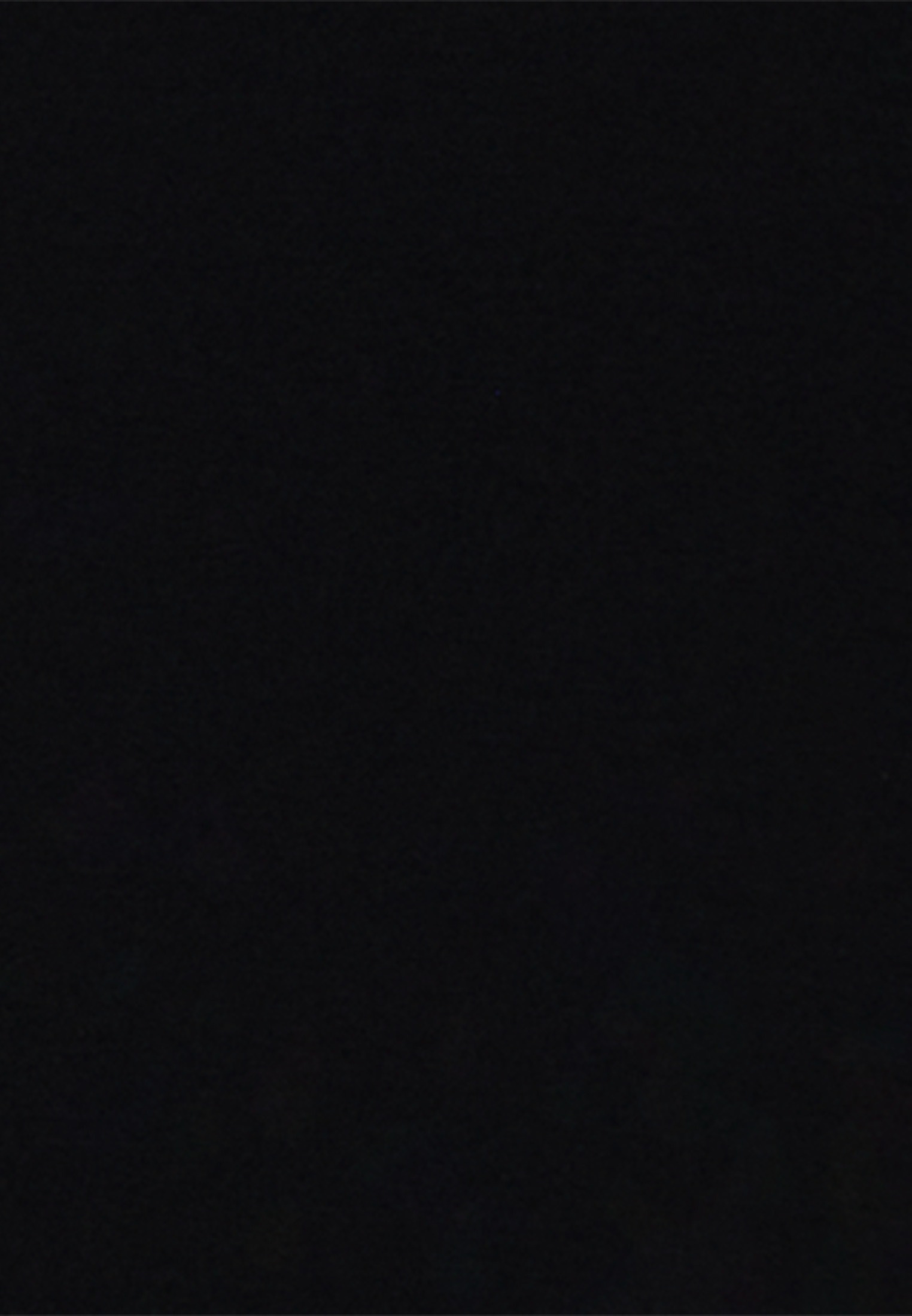 seidensticker T-Shirt 1/2 Rundhals Uni