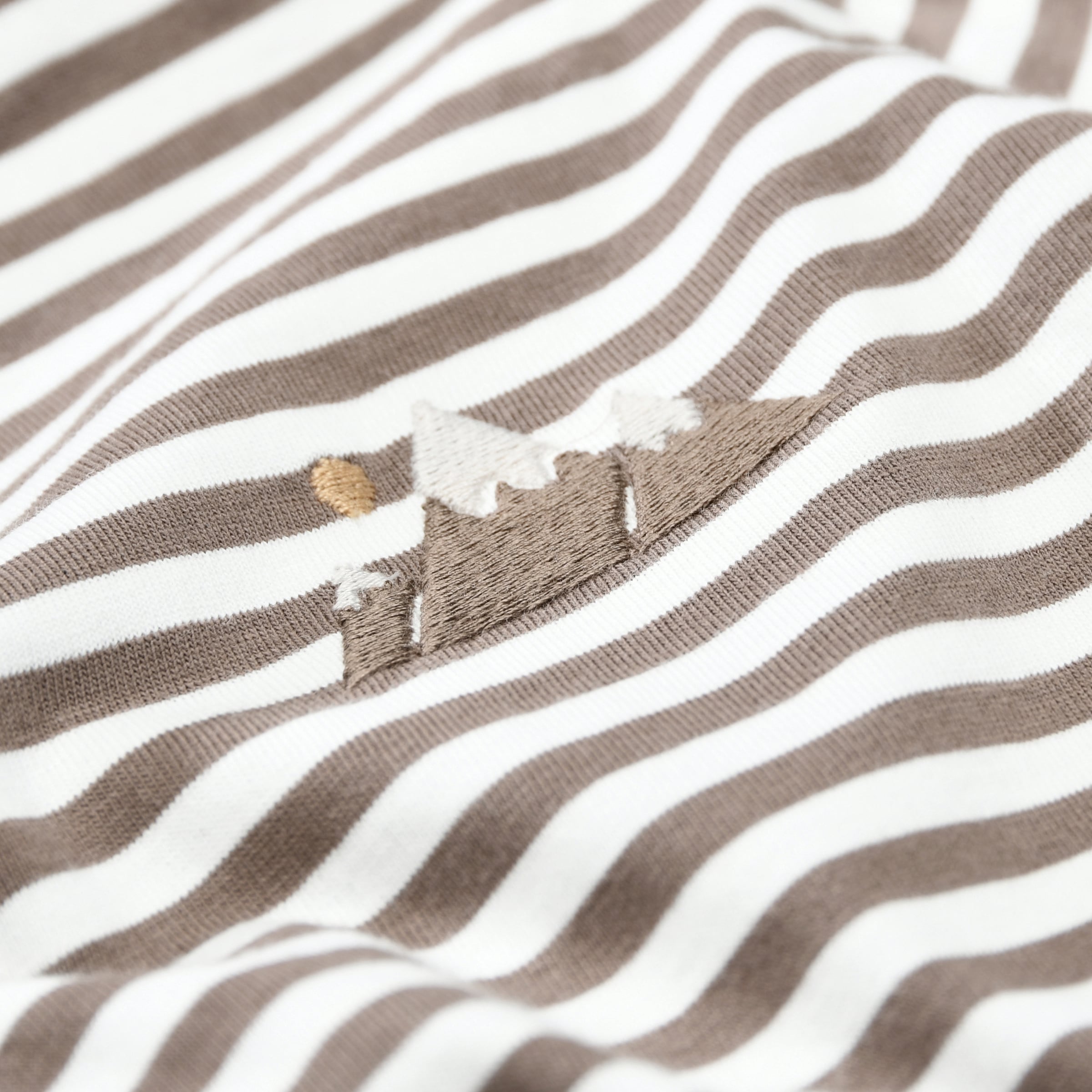STACCATO Langarmshirt Packung, 2 2er Pack / gestreift-bedruckt / für Boys