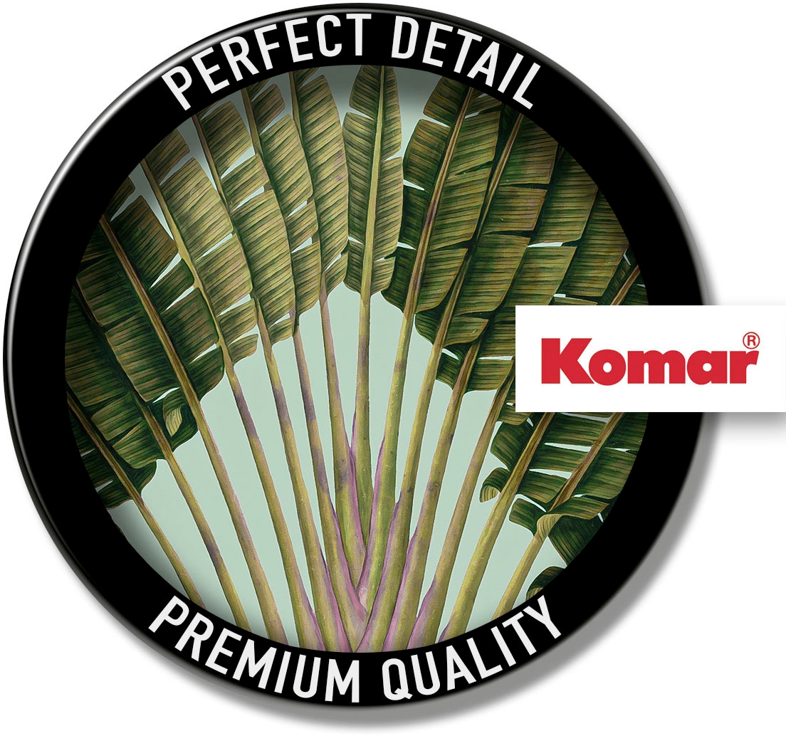 Komar Wandbild »Botanical Garden Pinnate Palm«, (1 St.), Deutsches Premium-Poster Fotopapier mit seidenmatter Oberfläche und hoher Lichtbeständigkeit. Für fotorealistische Drucke mit gestochen scharfen Details und hervorragender Farbbrillanz.