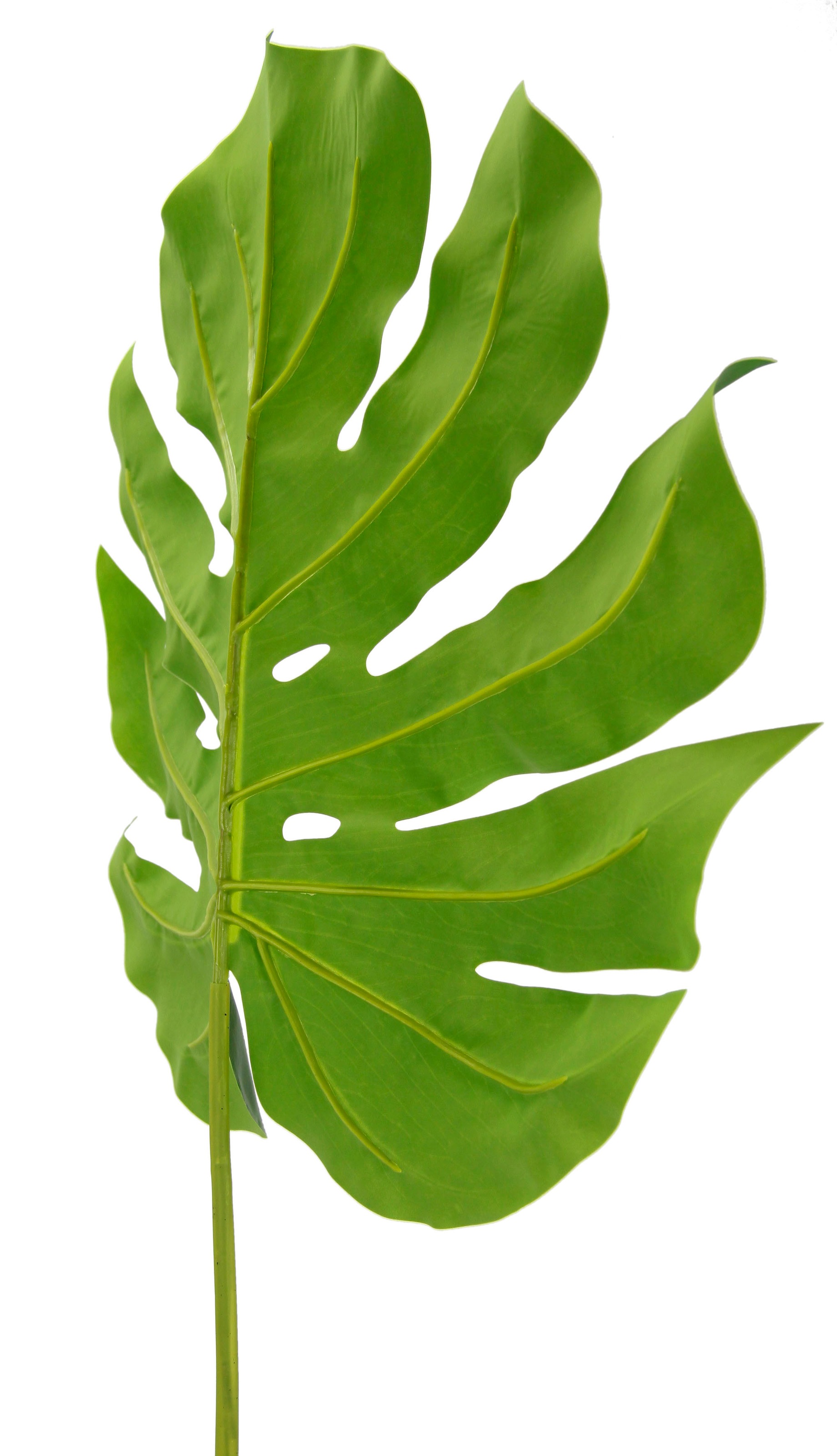 I.GE.A. Kunstpflanze »Splitphiloblatt« Monstera, Kunstzweig, 5er Set