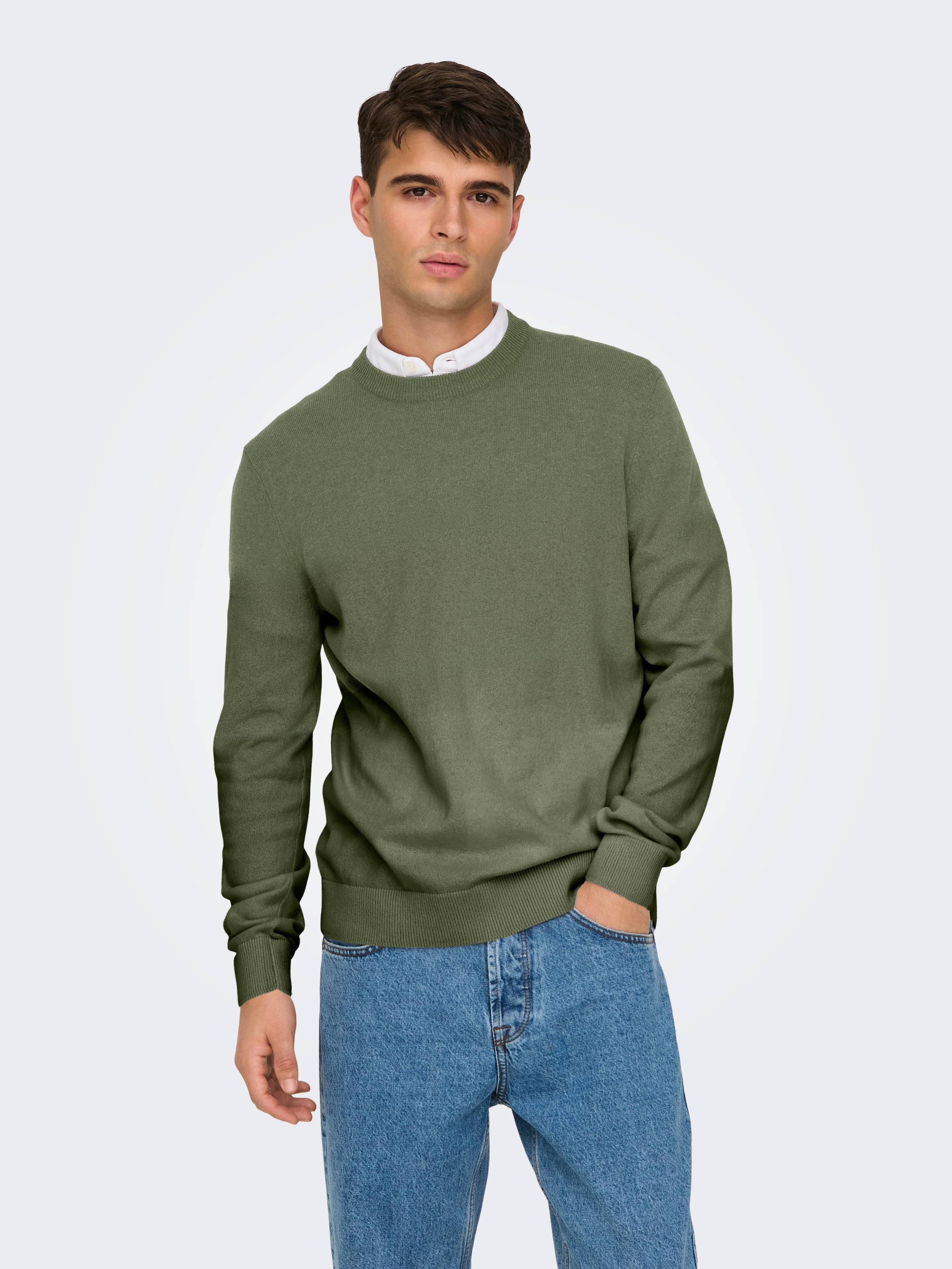 ONLY & SONS Rundhalspullover »ONSREX LIFE REG 12 CREW KNIT«