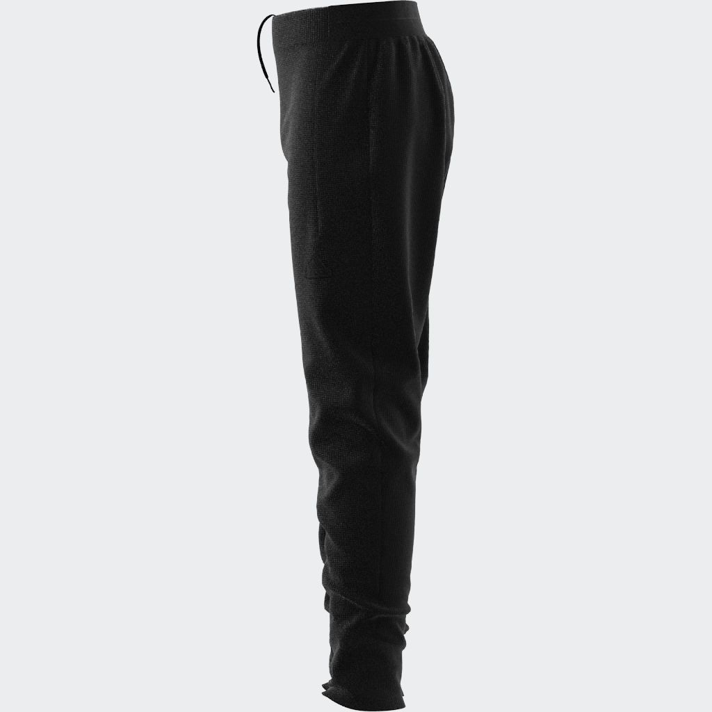 adidas Sportswear Sporthose »J Z.N.E. PT«, (1 tlg.)
