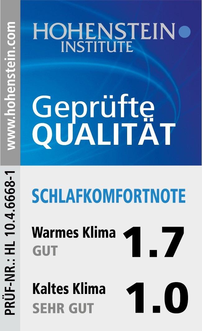 Sannwald Daunenbettdecke »Königstraum«, extrawarm, Füllung 90 % Daunen, 10 % Federn, Bezug 100 % Baumwolle, (1 St.), Wärmeisolation