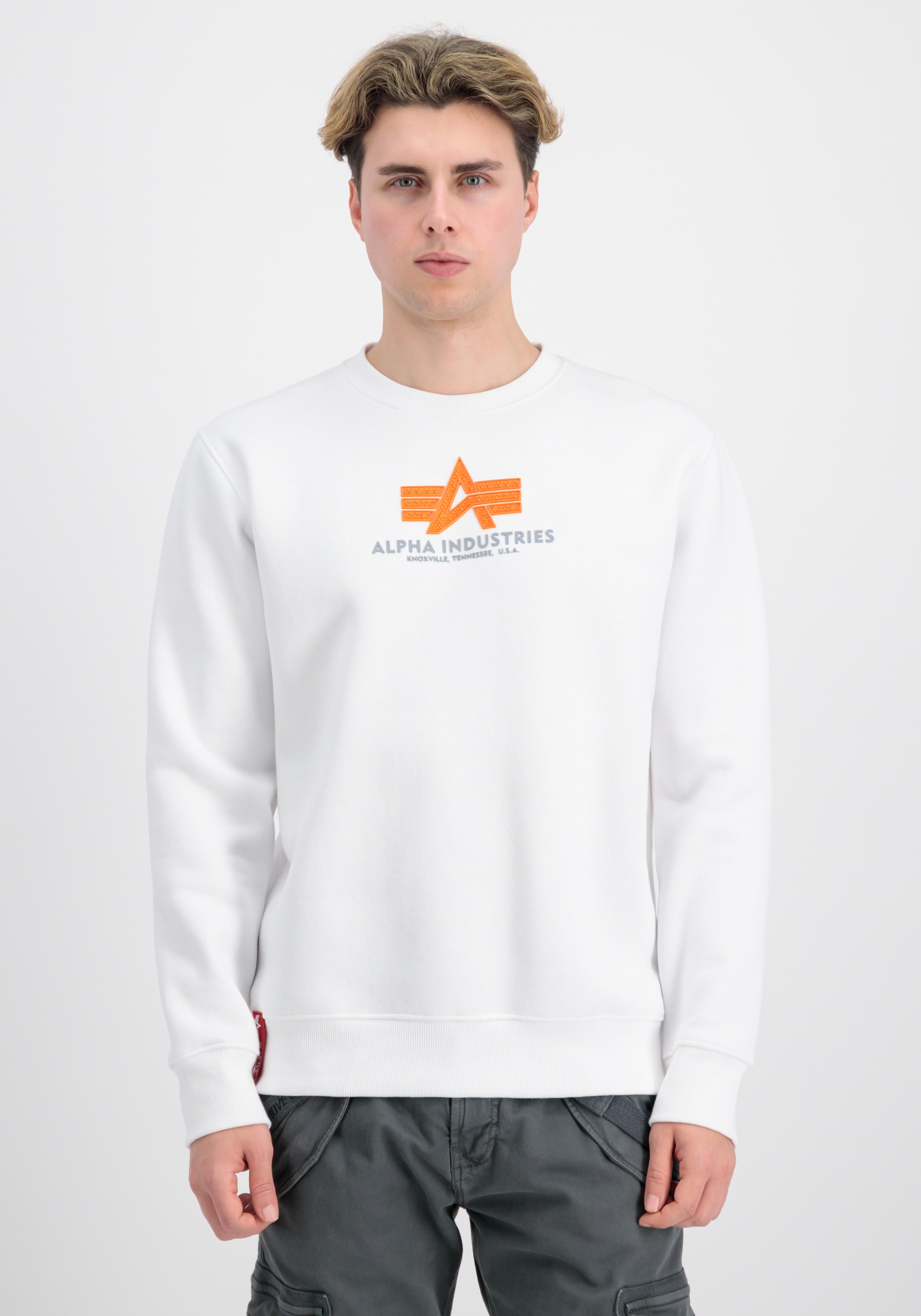 Alpha Industries Sweater »Basic Sweatshirt Rubber ML«