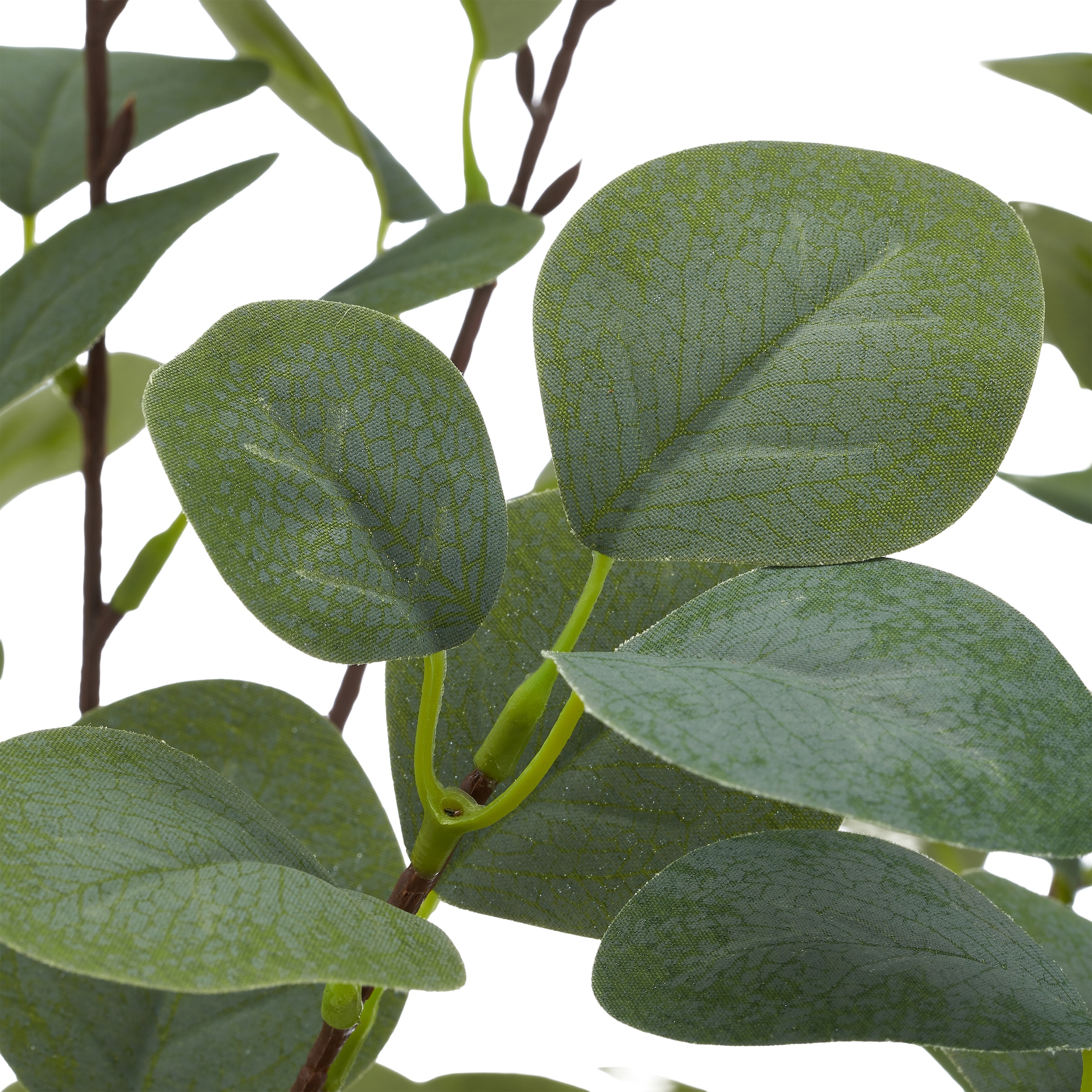 Creativ green Kunstpflanze »Eukalyptus« mit naturgetreuem Blattwerk