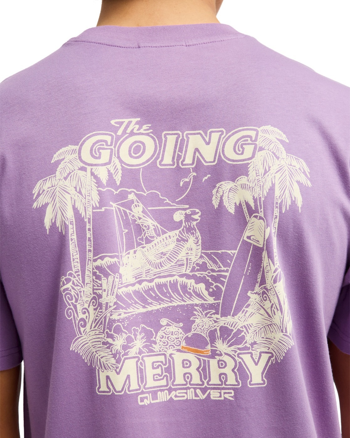 Quiksilver T-Shirt »One Piece Merry«