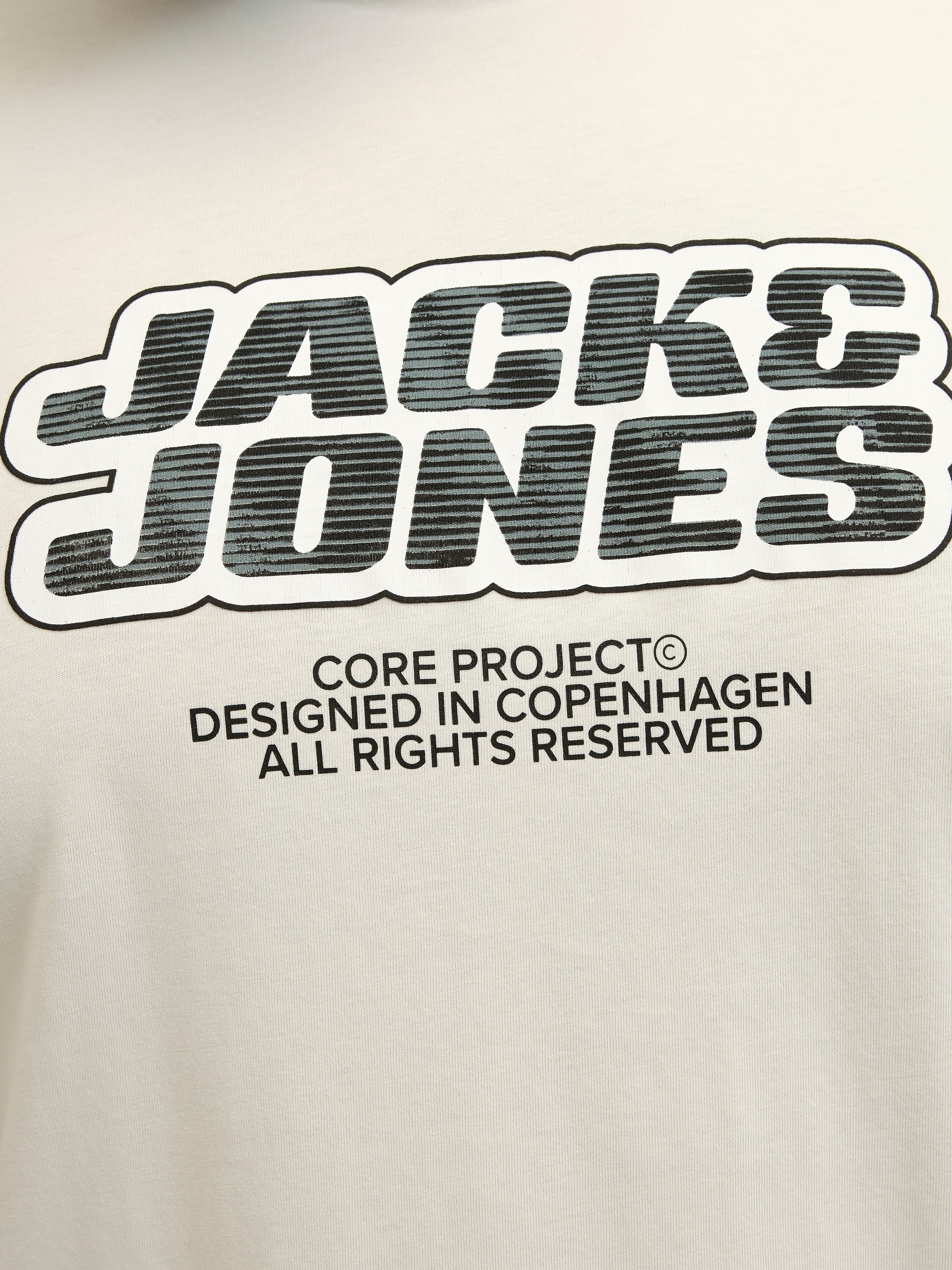 Jack & Jones PlusSize Print-Shirt »JCOLIDO AOP FRONT PRINT TEE SS CRE PLS«, mit Logo Print