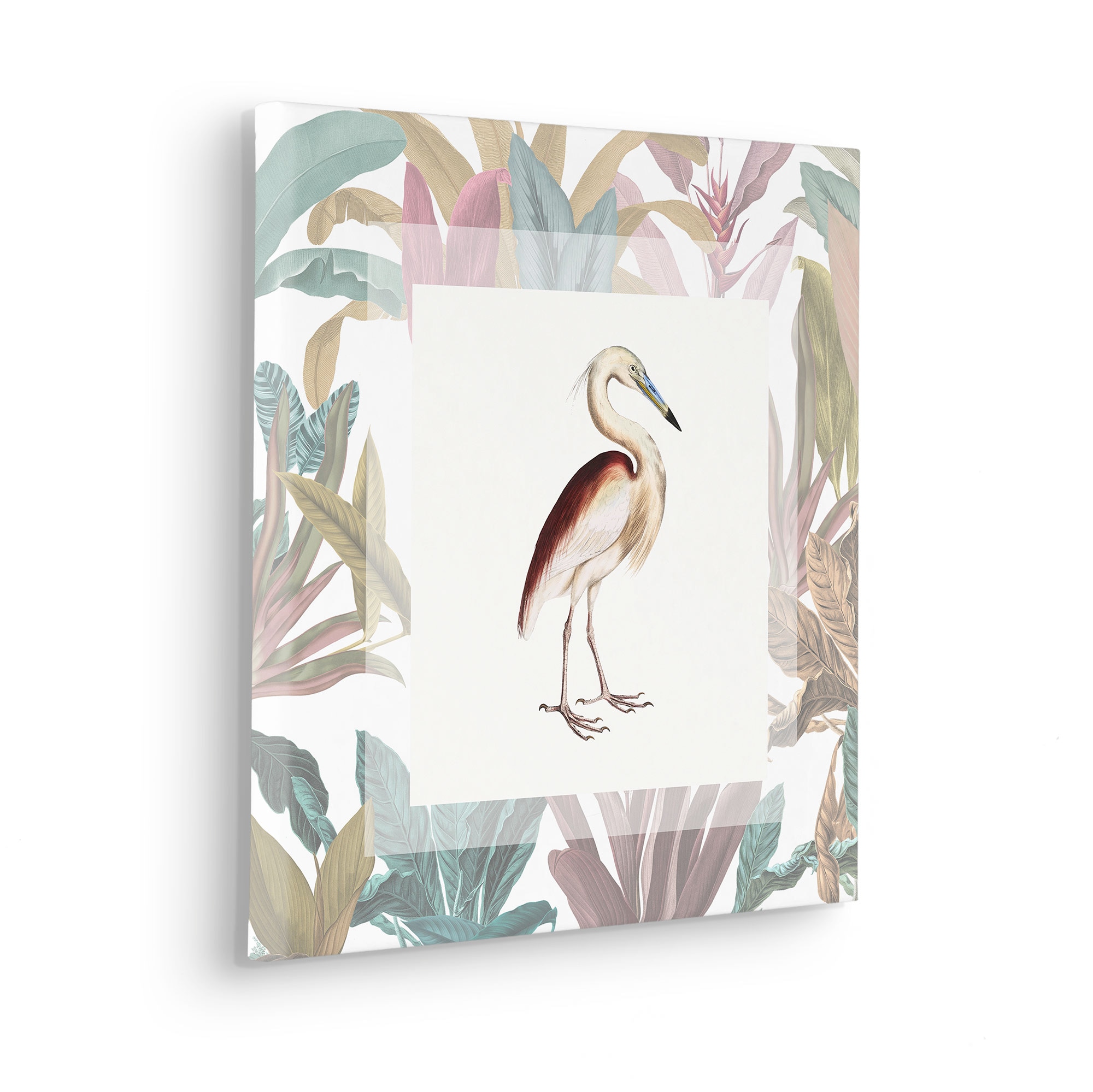 Komar Leinwandbild »Uncommon Bird - Größe 40 x 40 cm«, Natur, (1 St.), Keilrahmenbild mi Echtholzrahmen