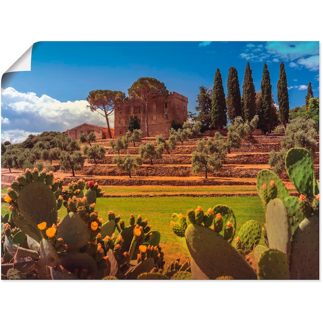 »Toskana als Wandbild Shop Artland im Poster in kaufen Online Europa, OTTO Größen Leinwandbild, (1 I«, verschied. St.),