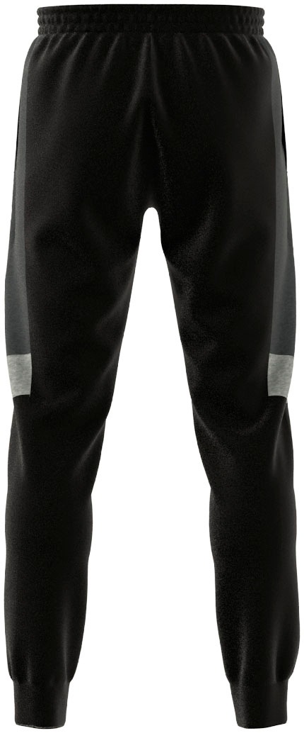 adidas Sportswear Sporthose »ESSENTIALS COLORBLOCK HOSE«, (1 tlg.)