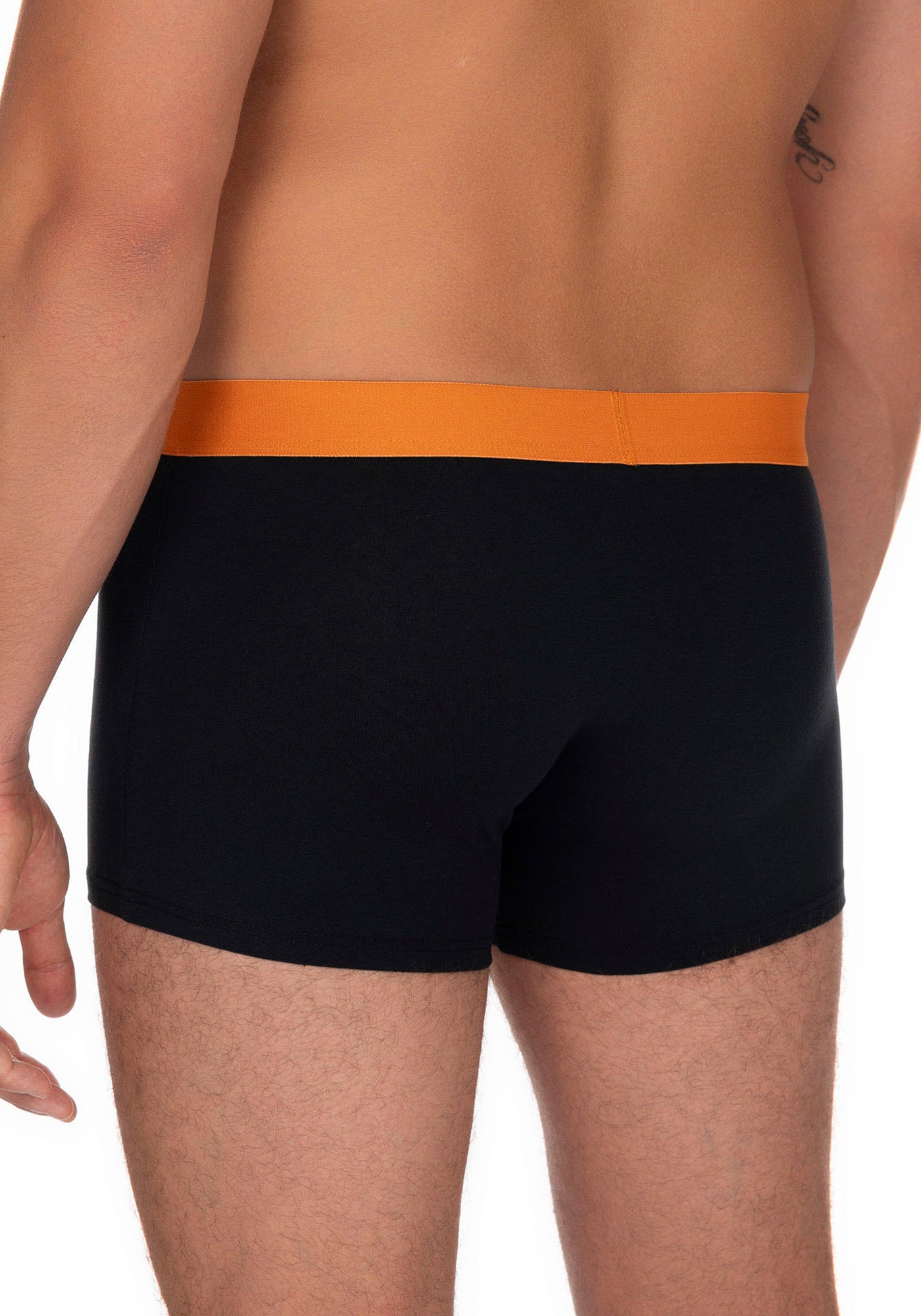 Bruno Banani Boxer, (2er Pack), mit kontrastreichem Logobund