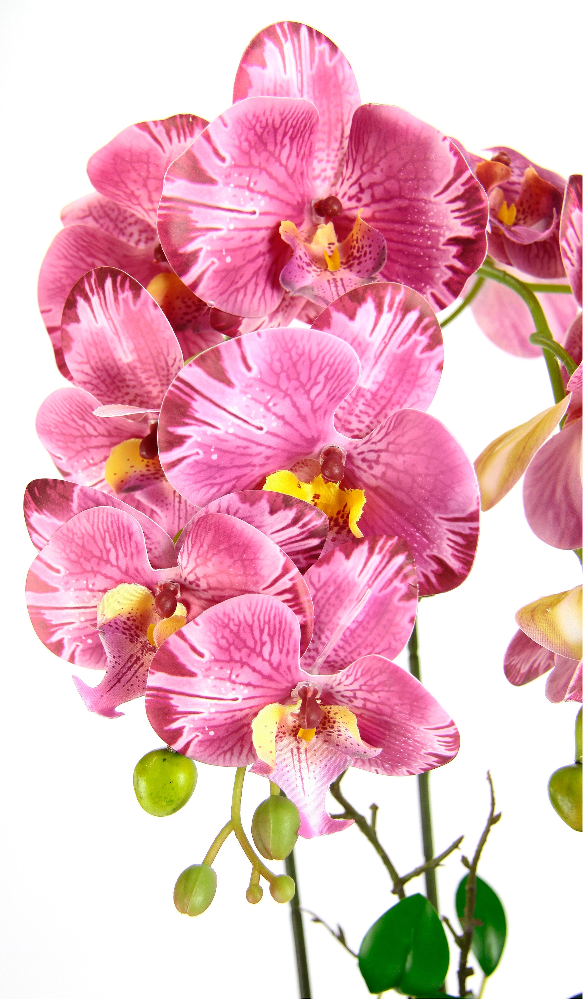 I.GE.A. Kunstblume »Orchidee«, Im Topf Phalaenopsis Orchidee Phalaenopsis  mit Übertopf Hochzeit kaufen im OTTO Online Shop