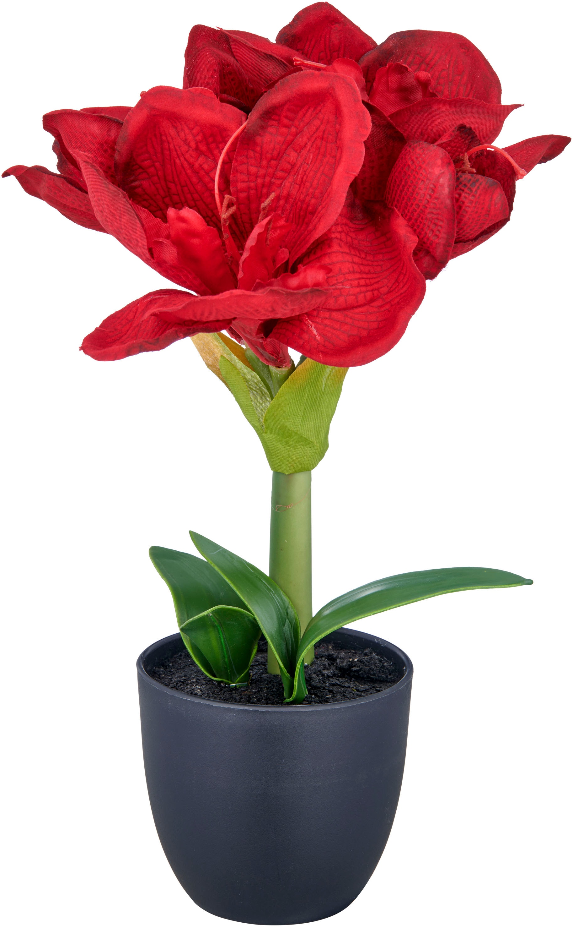 Creativ green Kunstblume »Amaryllis«