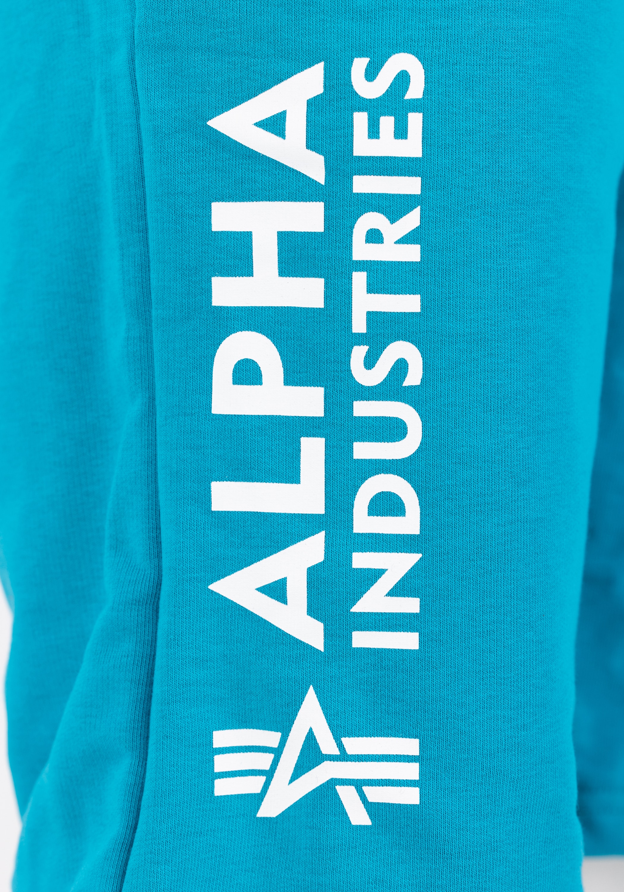 Alpha Industries Sweatshorts »Basic Short AI«