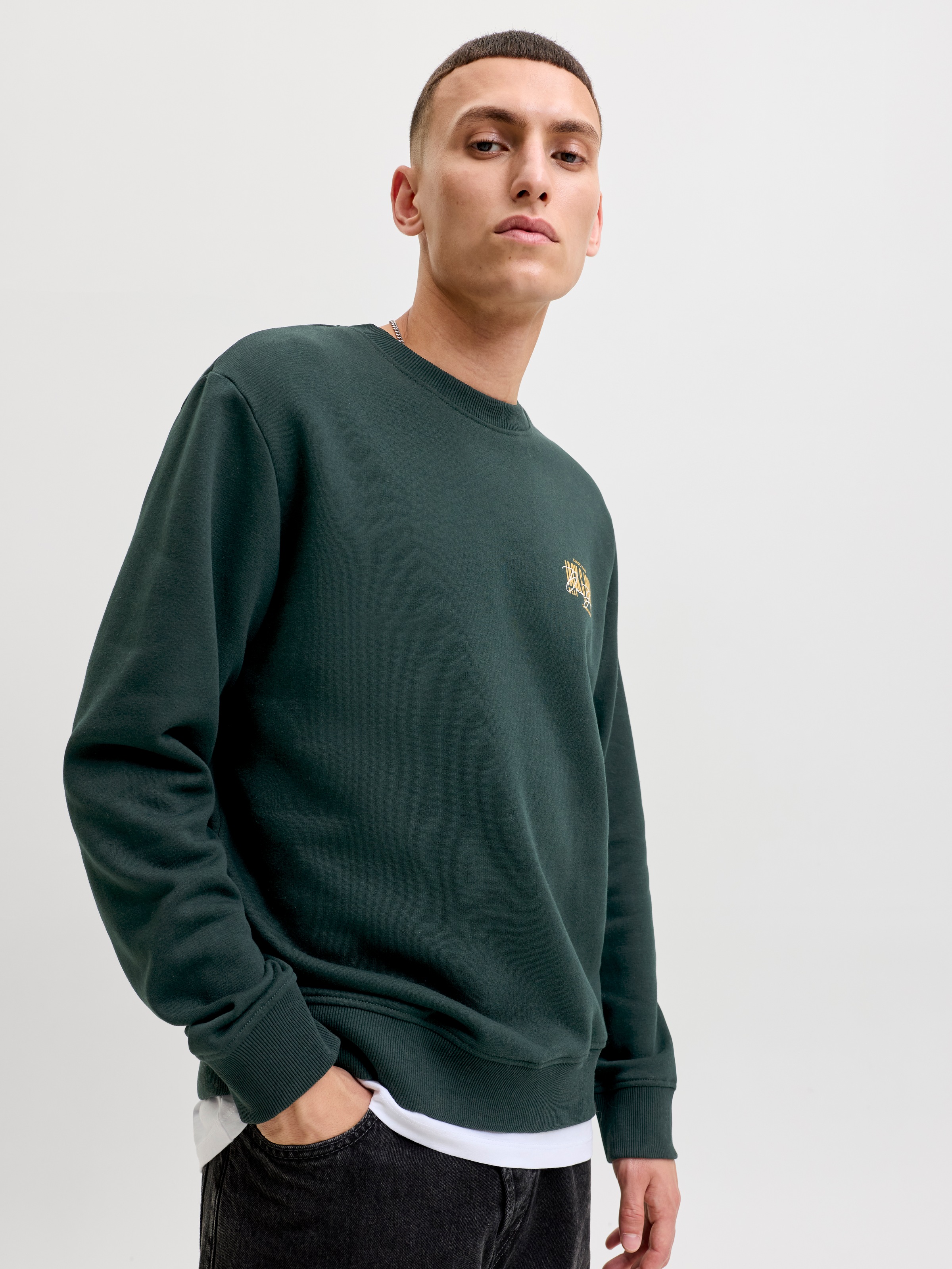 Jack & Jones Sweatshirt »JJAERO SWEAT CREW NECK«, Materialmix, regular fit
