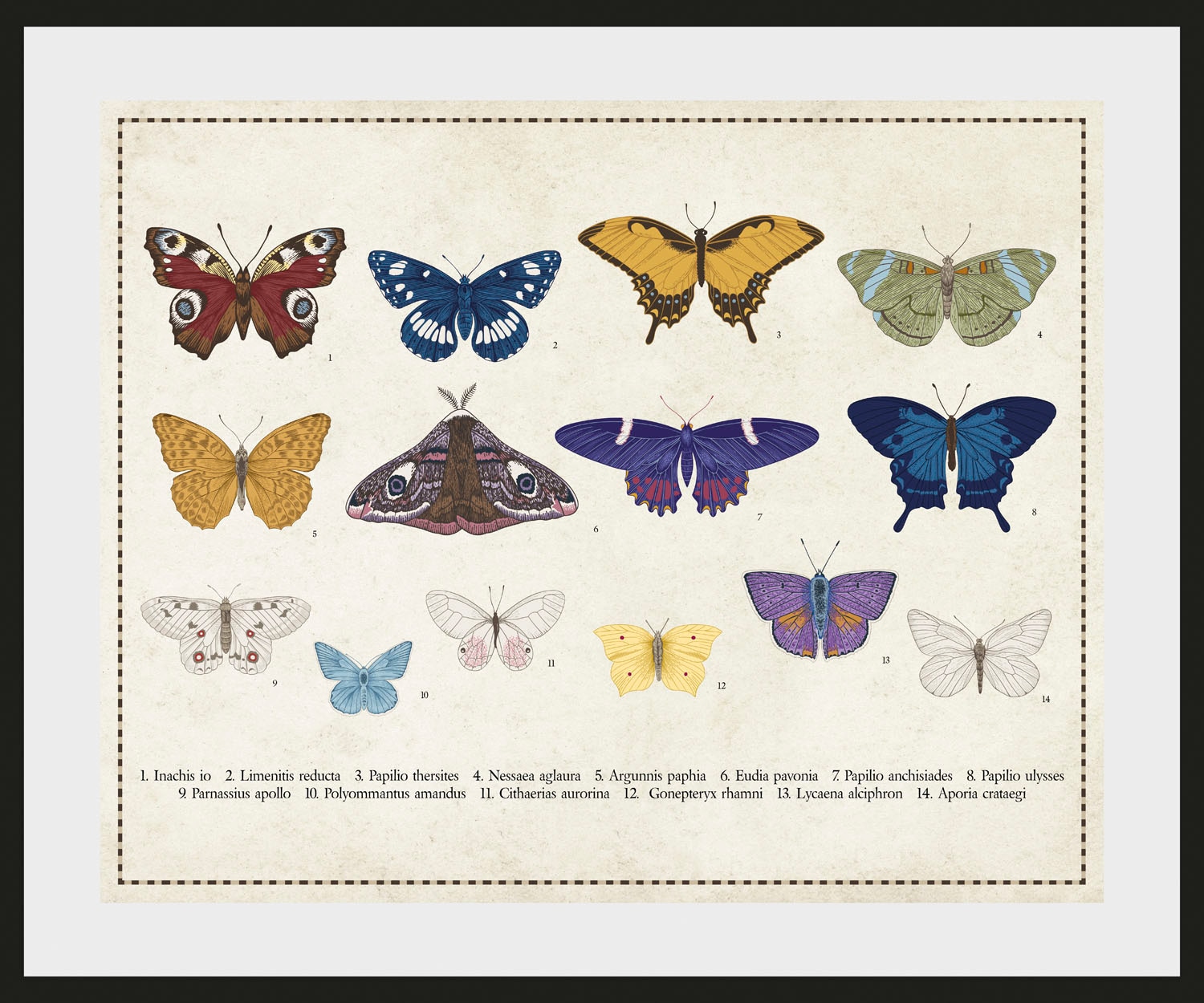 queence Bild »Liane«, Schmetterlinge, (1 St.)