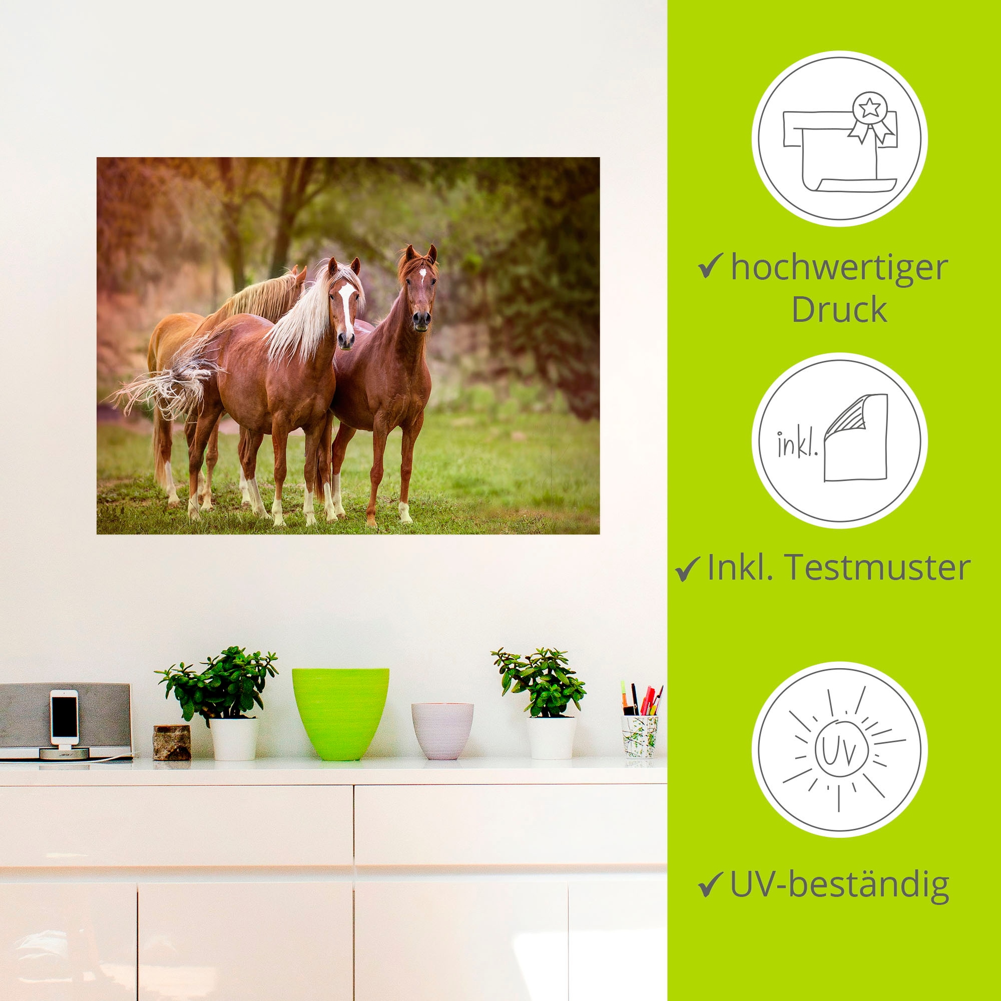 Artland Wandbild »Pferde in den Feldern I«, Haustiere, (1 St.), als Leinwandbild, Poster, Wandaufkleber in verschied. Größen