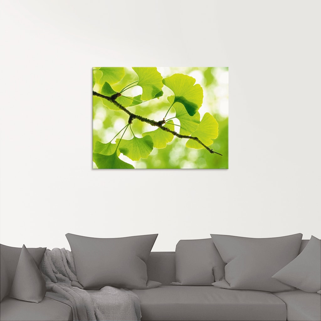 Artland Glasbild »Ginkgo«, Blätter, (1 St.)