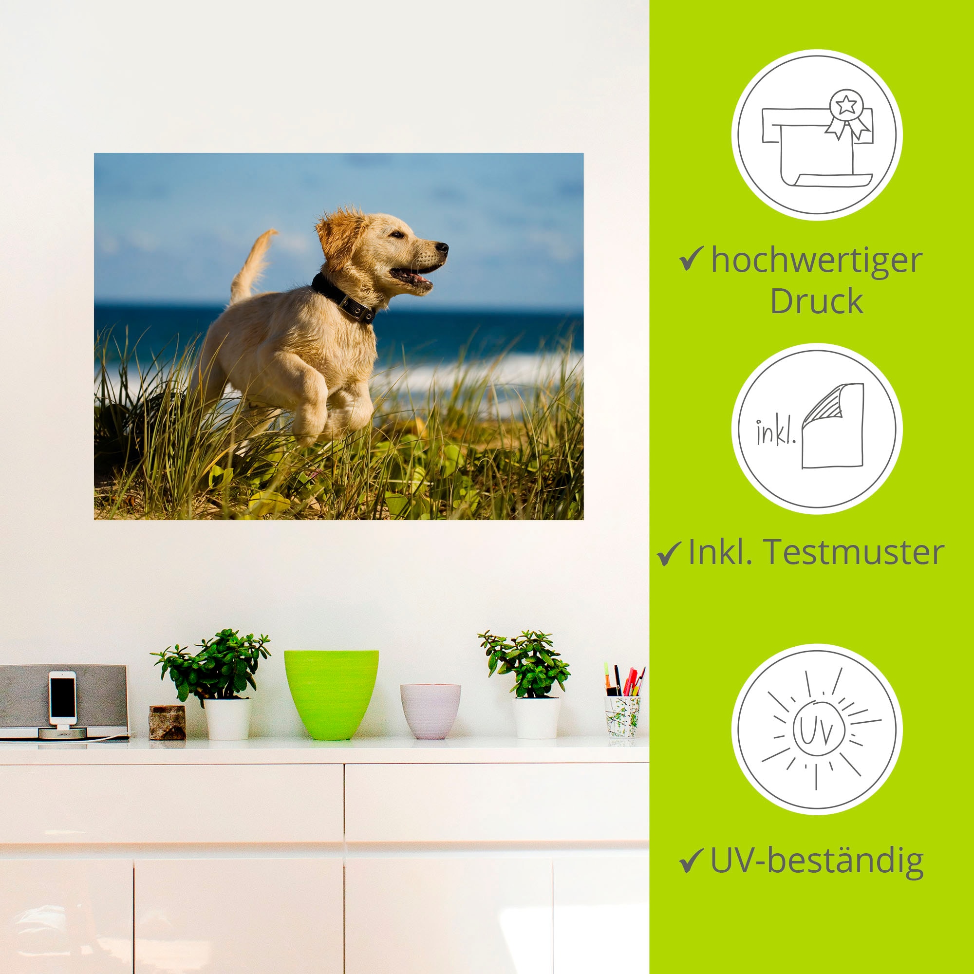 Artland Wandfolie »Hundebaby springt am Strand«, Haustiere, (1 St.), selbstklebend