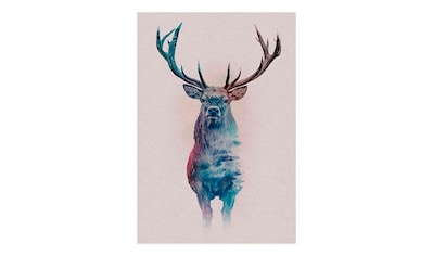 Komar Poster »Animals Forest Deer«, Tiere, Höhe: 70cm kaufen