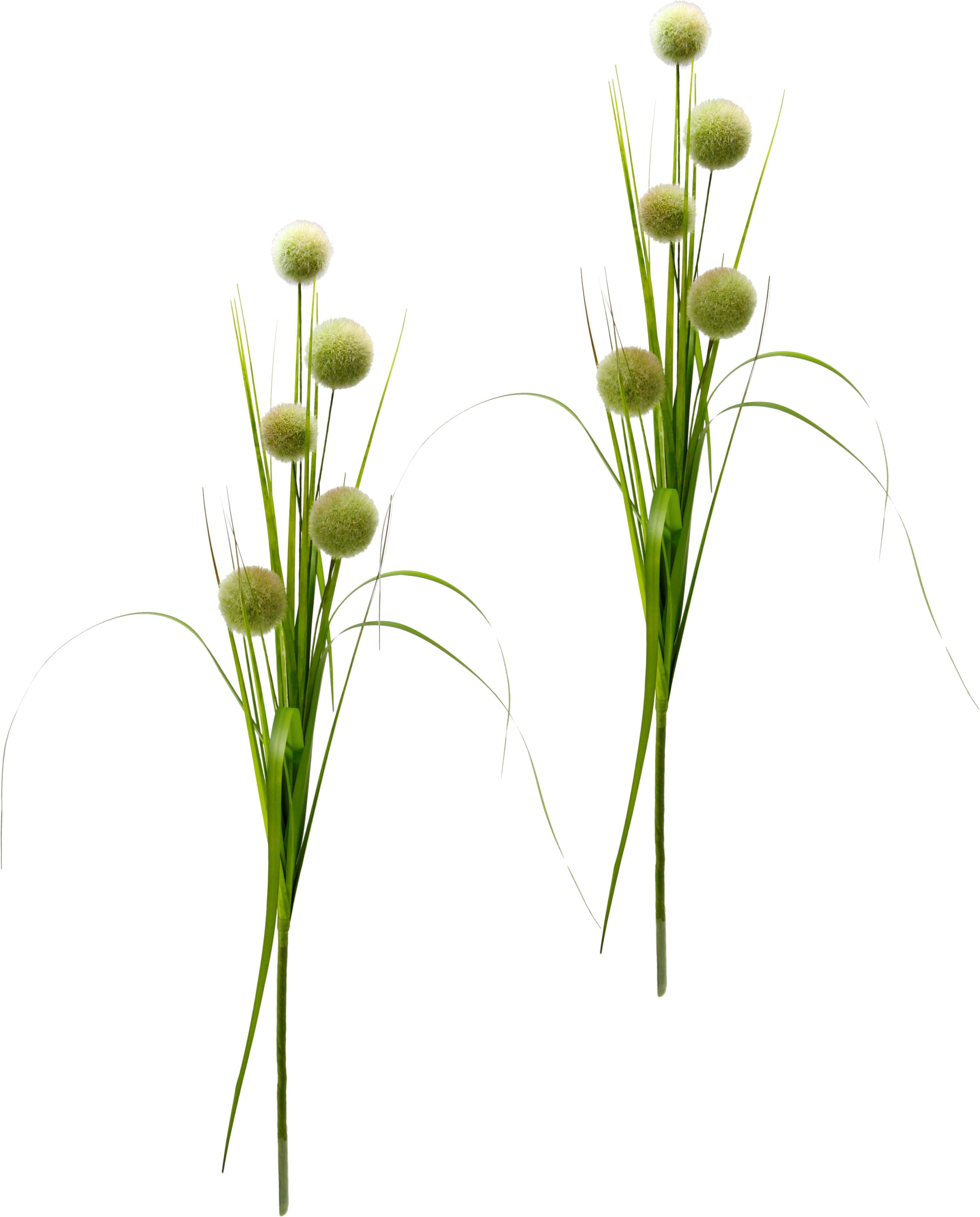 I.GE.A. Kunstpflanze »Allium Set Dekozweig, Shop im im bestellen Online Gras«, 2er OTTO