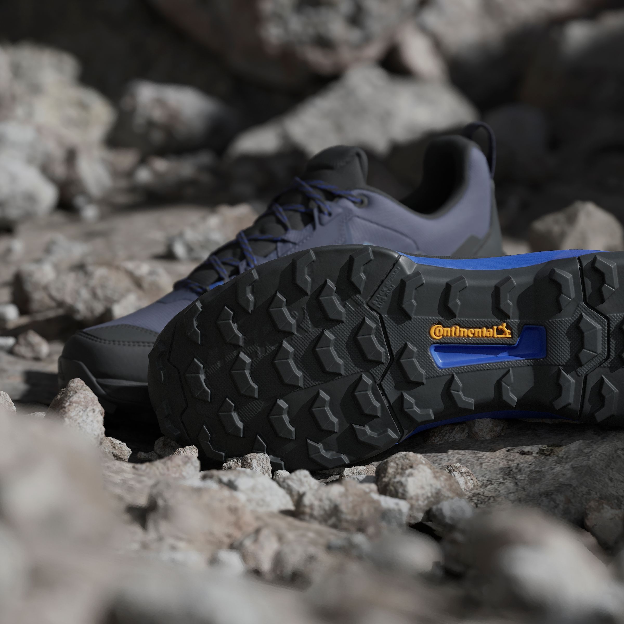 adidas TERREX Wanderschuh »TERREX AX4 GORE-TEX«, wasserdicht