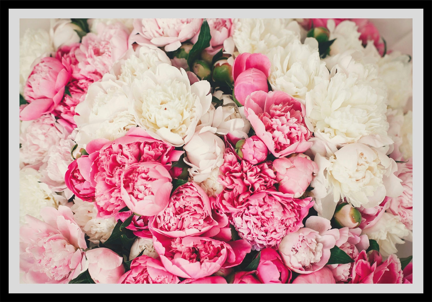 bei Blumen, kaufen queence Bild (1 St.) »Ruth«, OTTO