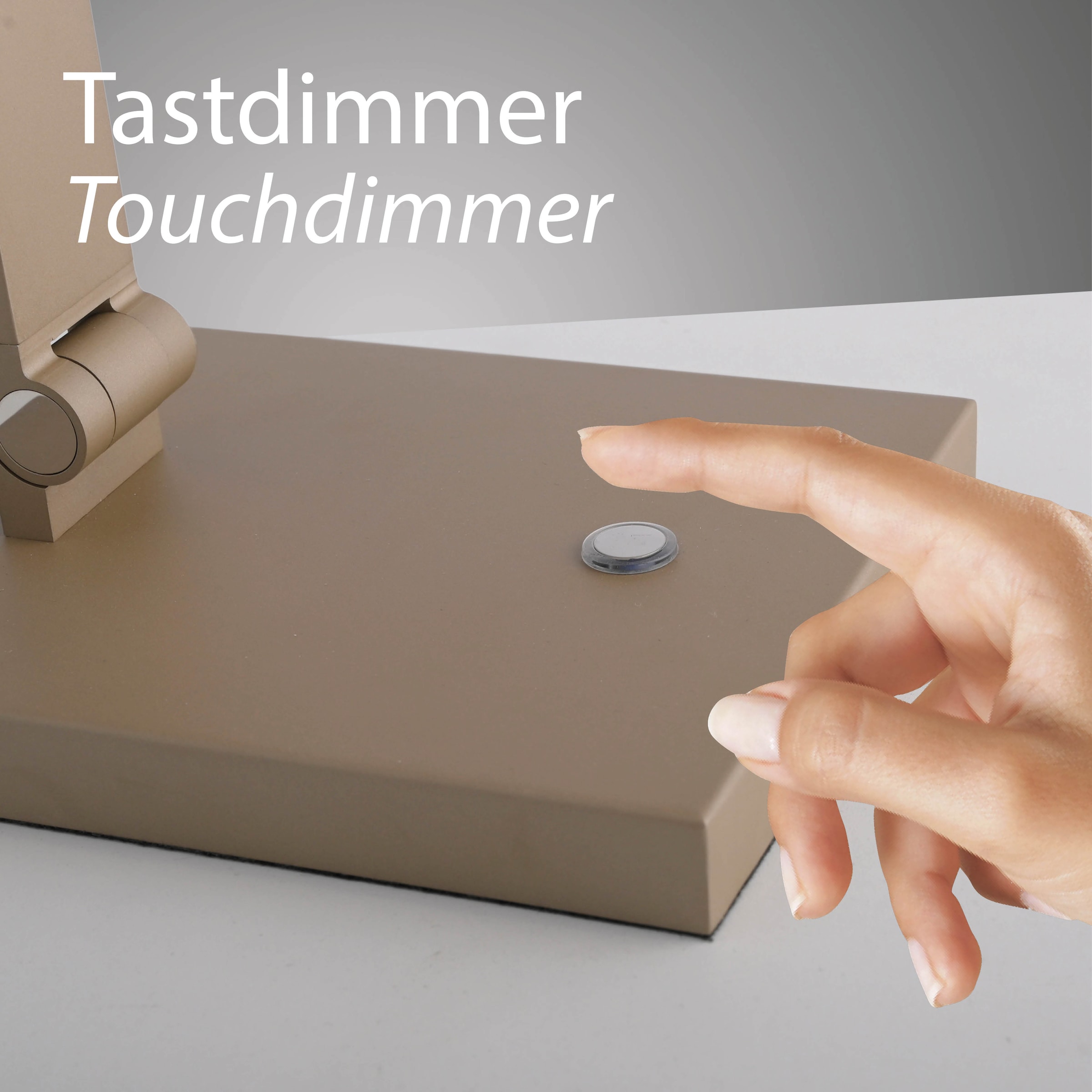 Paul Neuhaus LED Tischleuchte »SAMSKY« LED-Board 1 Stk. warmweiß - kaltweiß Touchdimmer, CCT 2700-5000K, Memoryfunktion, Höhenverstellbar