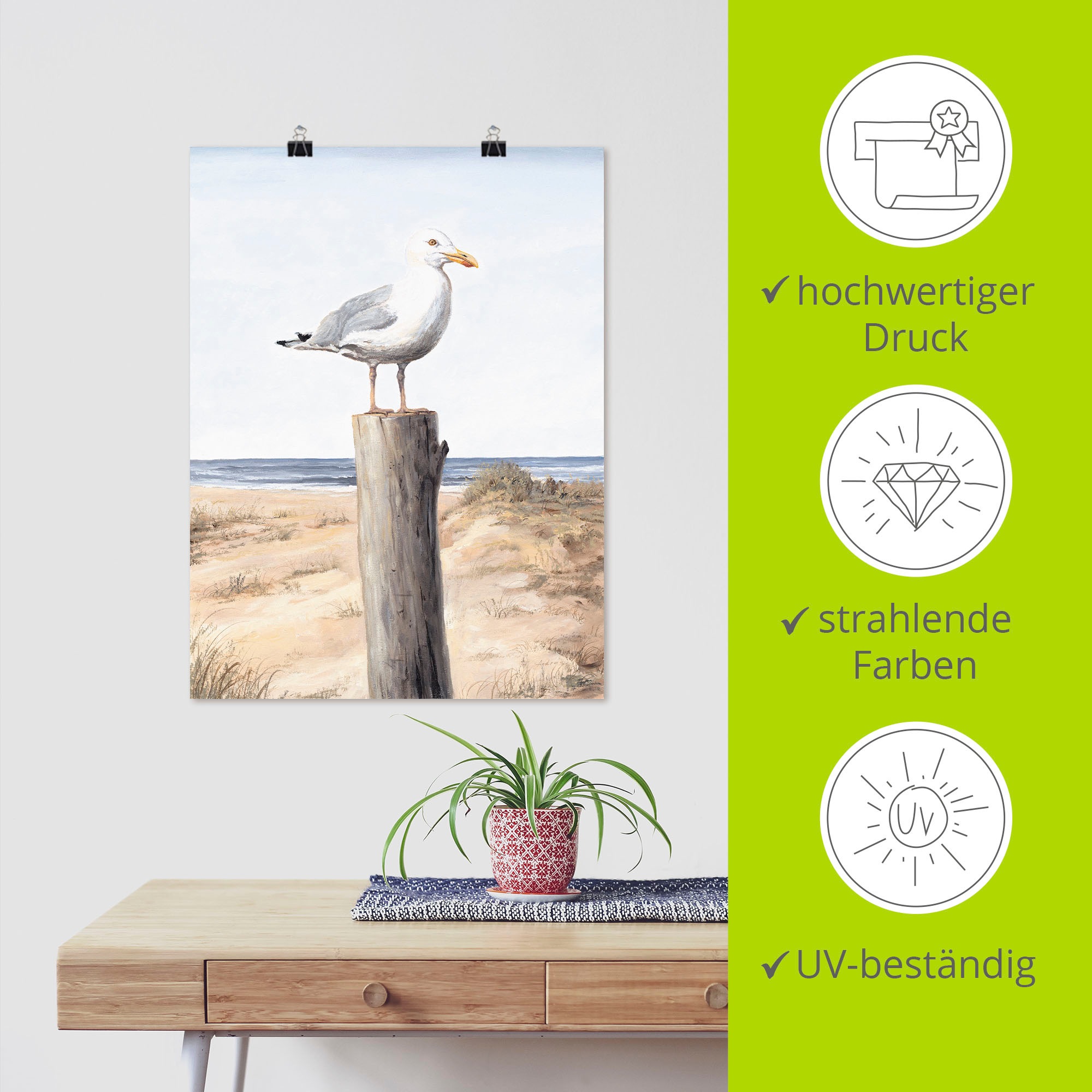 Artland Wandbild »Möwe«, Vögel, (1 St.), als Alubild, Outdoorbild, Leinwandbild, Poster, Wandaufkleber