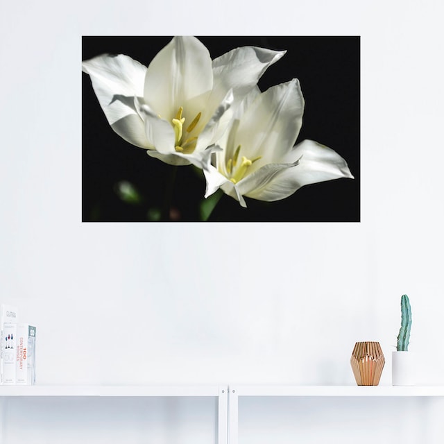 Artland Wandbild »Tulpen - weiß auf schwarz«, Blumenbilder, (1 St.), als  Alubild, Leinwandbild, Wandaufkleber oder Poster in versch. Größen kaufen  im OTTO Online Shop