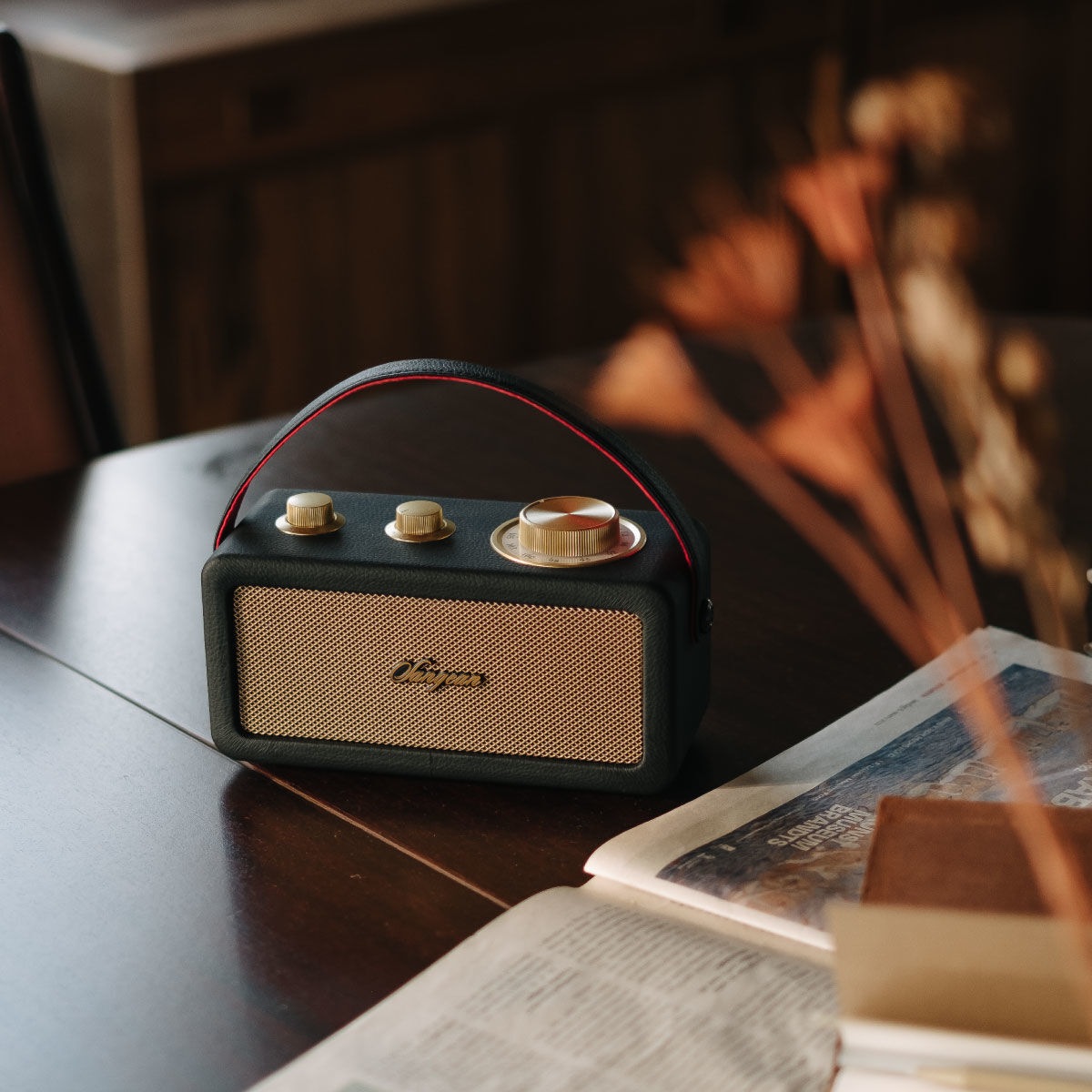 Sangean Radio »RA-101«, (Bluetooth FM-Tuner)