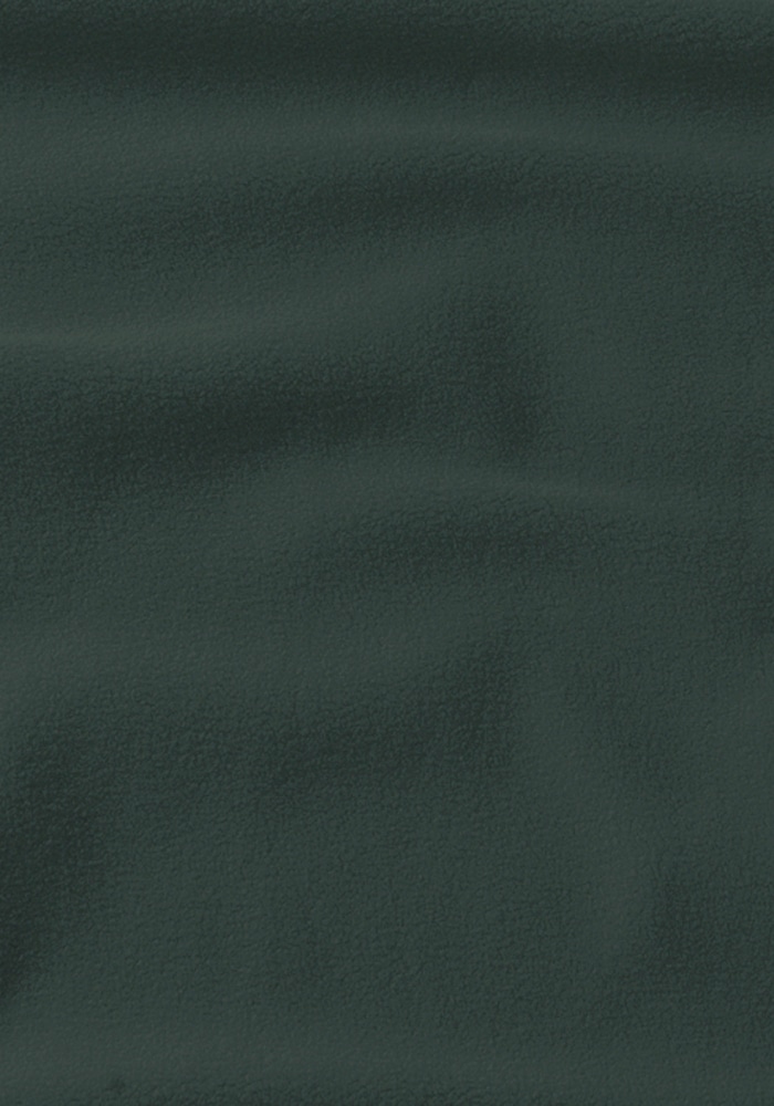 Jack Wolfskin Fleecejacke »BAISELBERG HOODED FZ M«, mit Kapuze