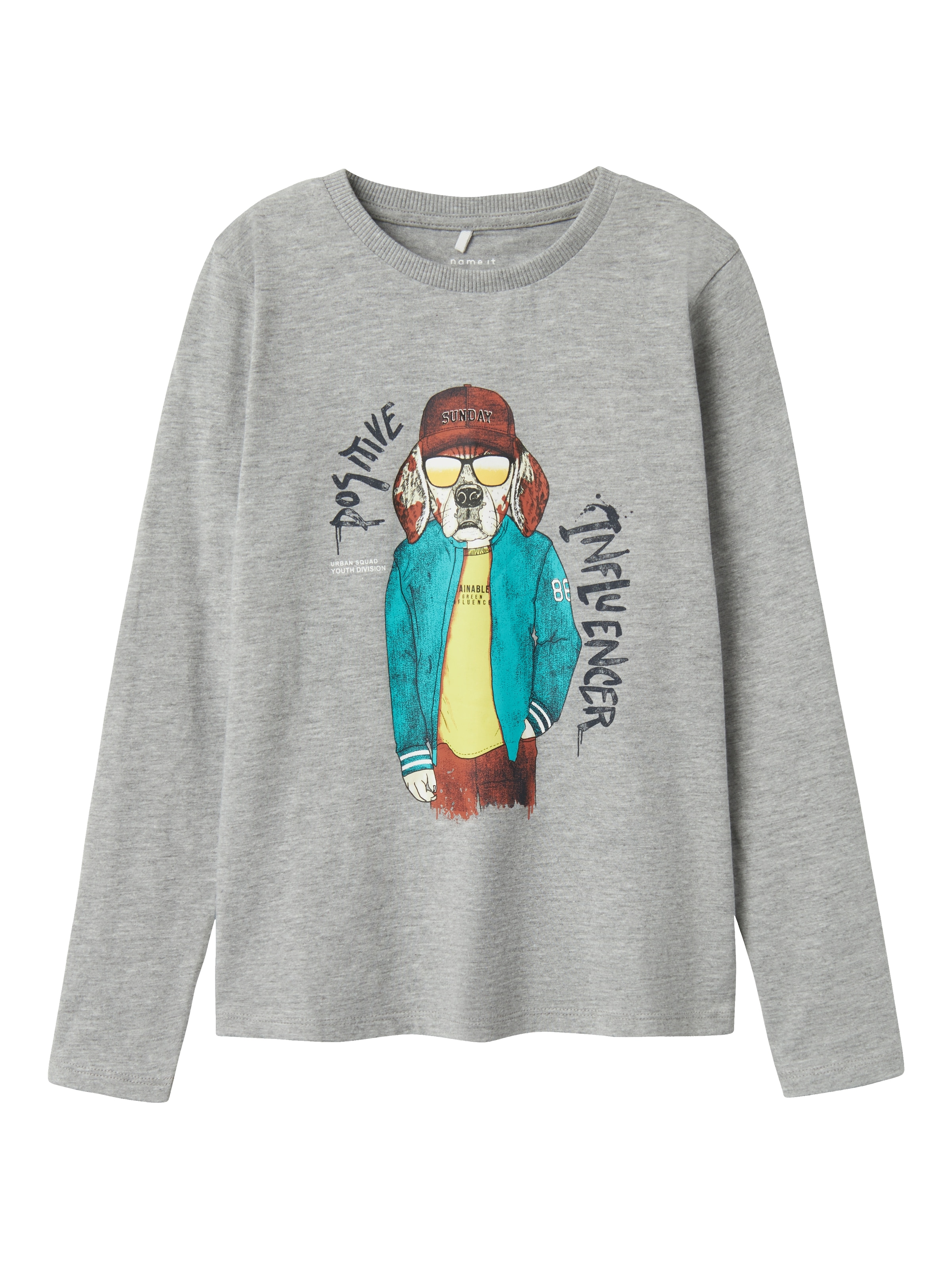 Name It Langarmshirt »NKMSEMONS LS NREG TOP«