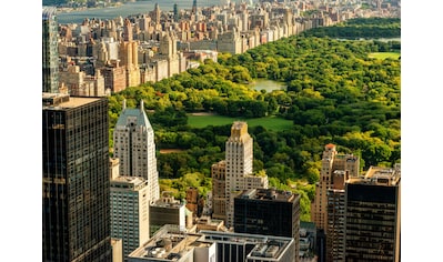 Papermoon Fototapete »Central Park Manhattan« kaufen