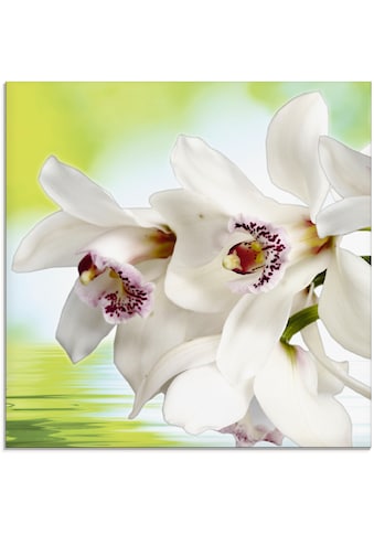 Glasbild »Weiße Orchidee«, Blumen, (1 St.)