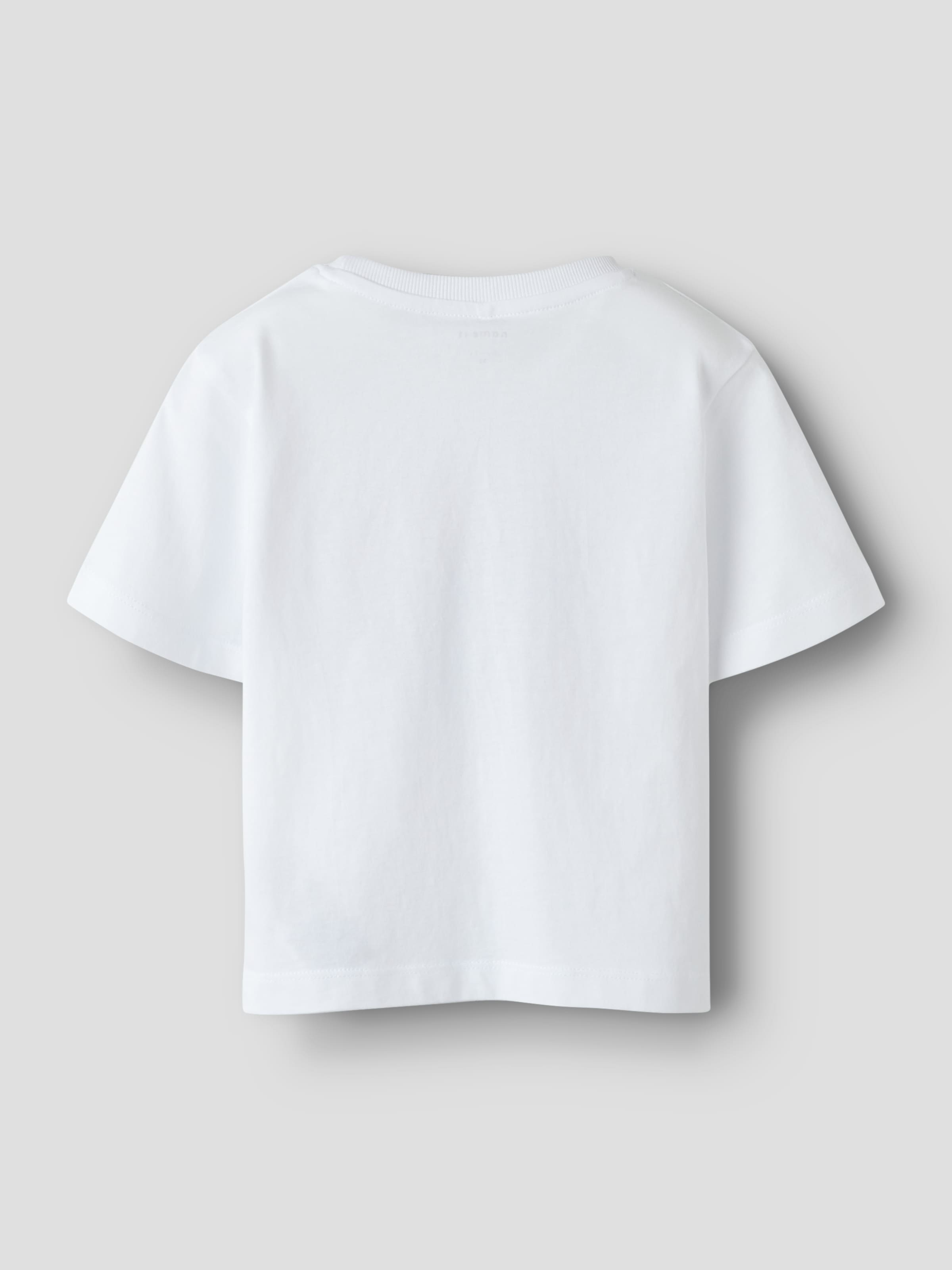 Name It Kurzarmshirt »NMFJASSA 2P SS NREG TOP PB«, (Packung, 2 tlg.)