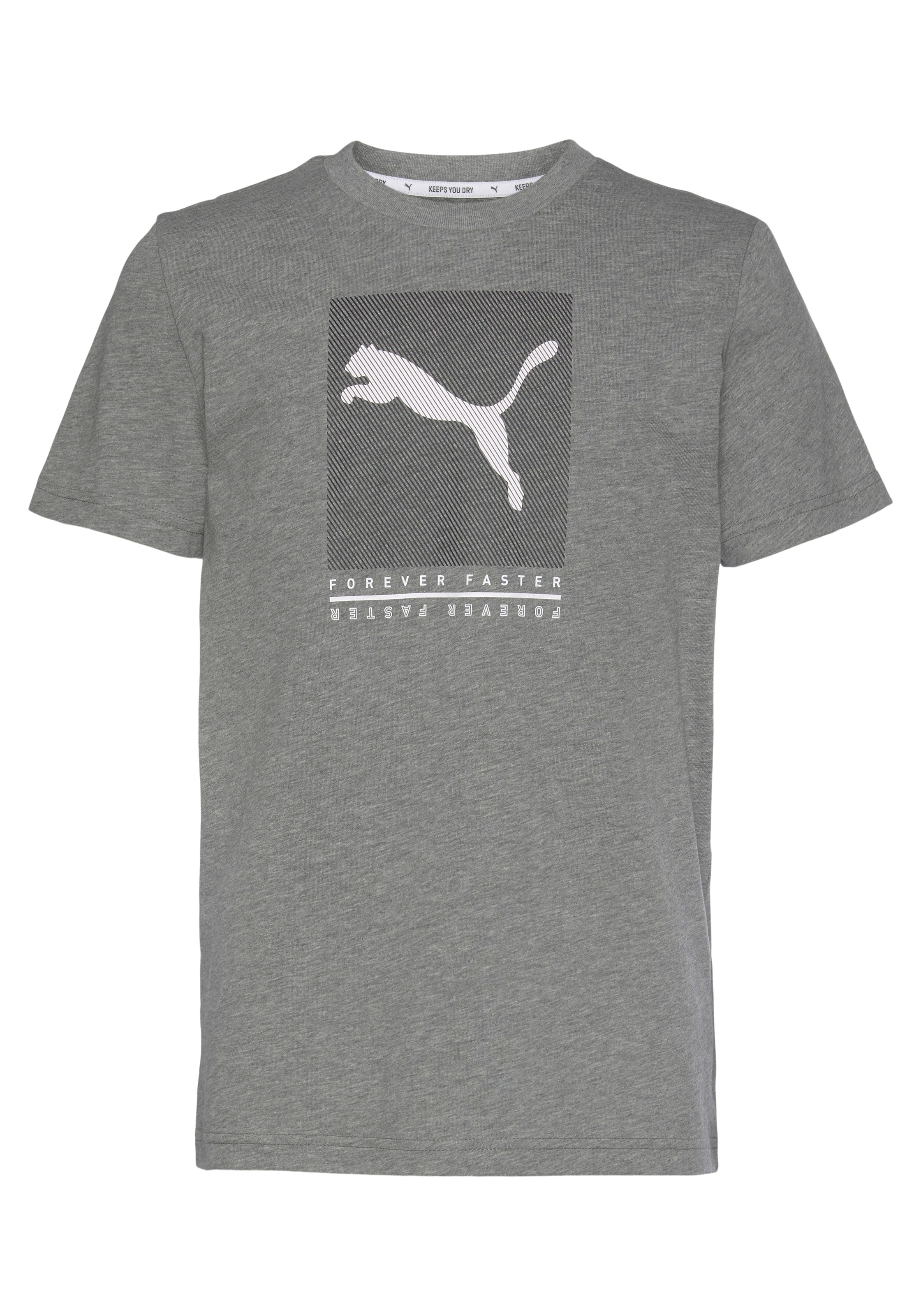 PUMA T-Shirt »Active Sports Graphic Tee B«