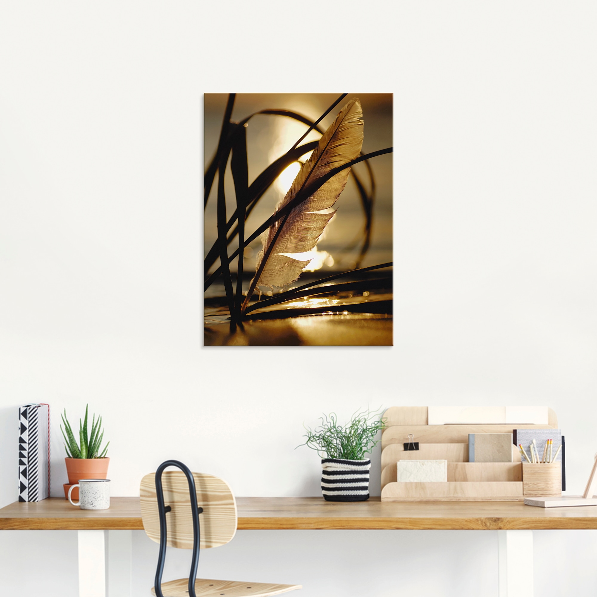 Artland Glasbild »Feder im Abendlicht«, Gräser, (1 St.), in verschiedenen Größen