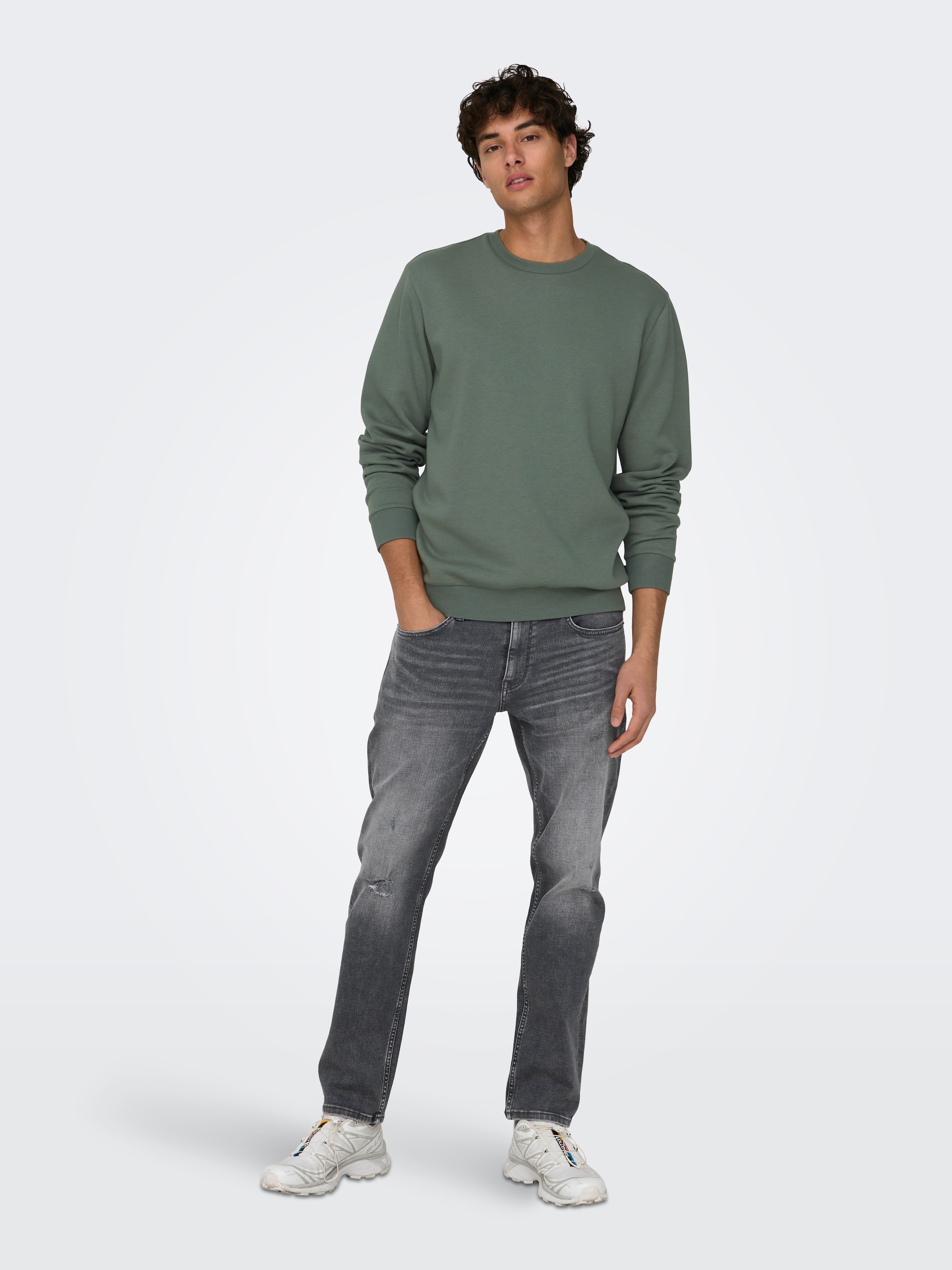 ONLY & SONS Sweatshirt »ONSCERES CREW NECK NOOS«