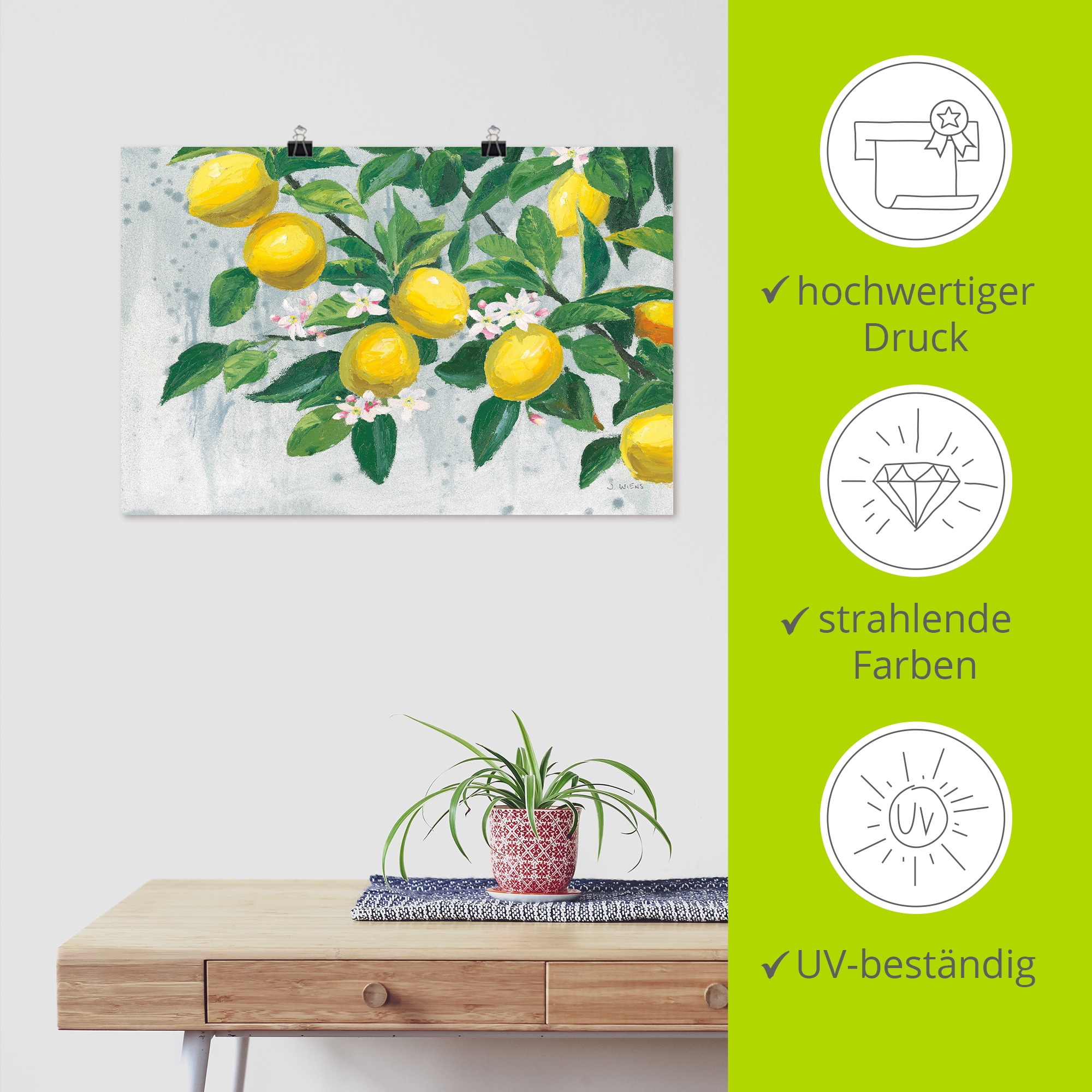 Artland Wandbild »Zesty Lemons« Baumbilder 1 Stk. tlg. als Alubild, Leinwandbild, Poster, Wandaufkleber in verschied. Größen