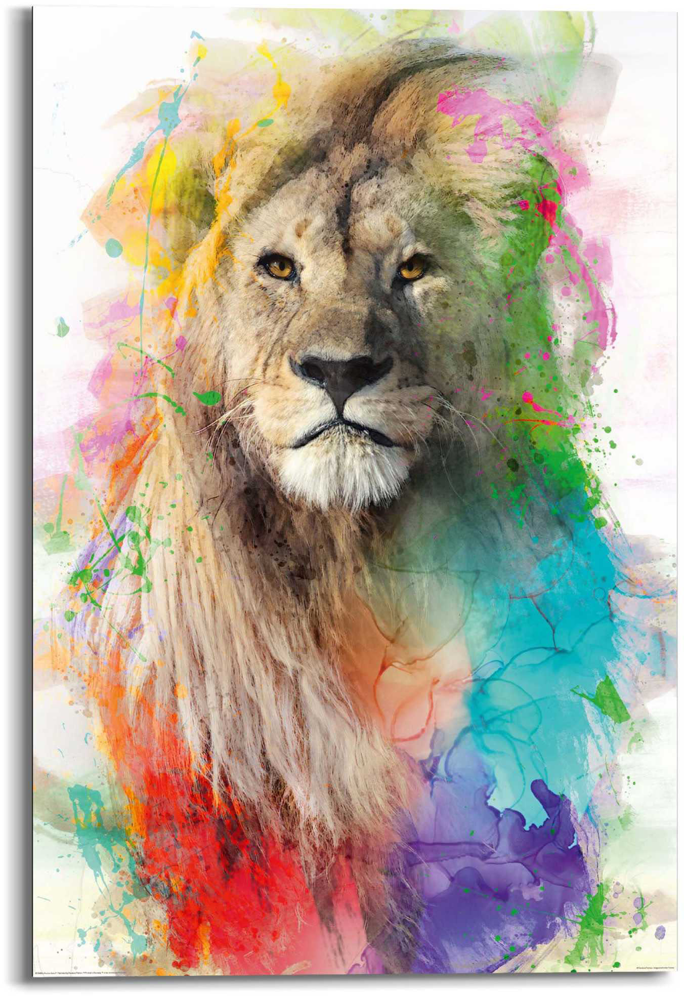 Reinders! Wandbild »Löwe«