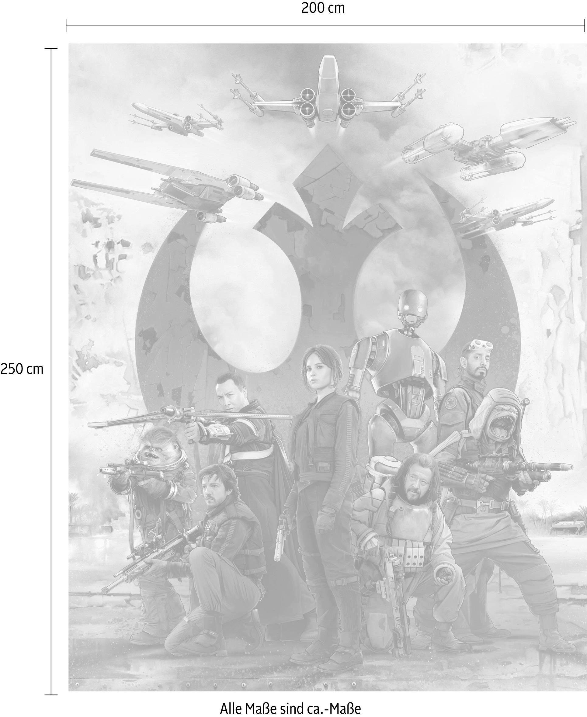 Komar Vliestapete »Digitaldruck Vlies - Star Wars Rebels - Größe 200 x 250 cm«, bedruckt, Kinderzimmer