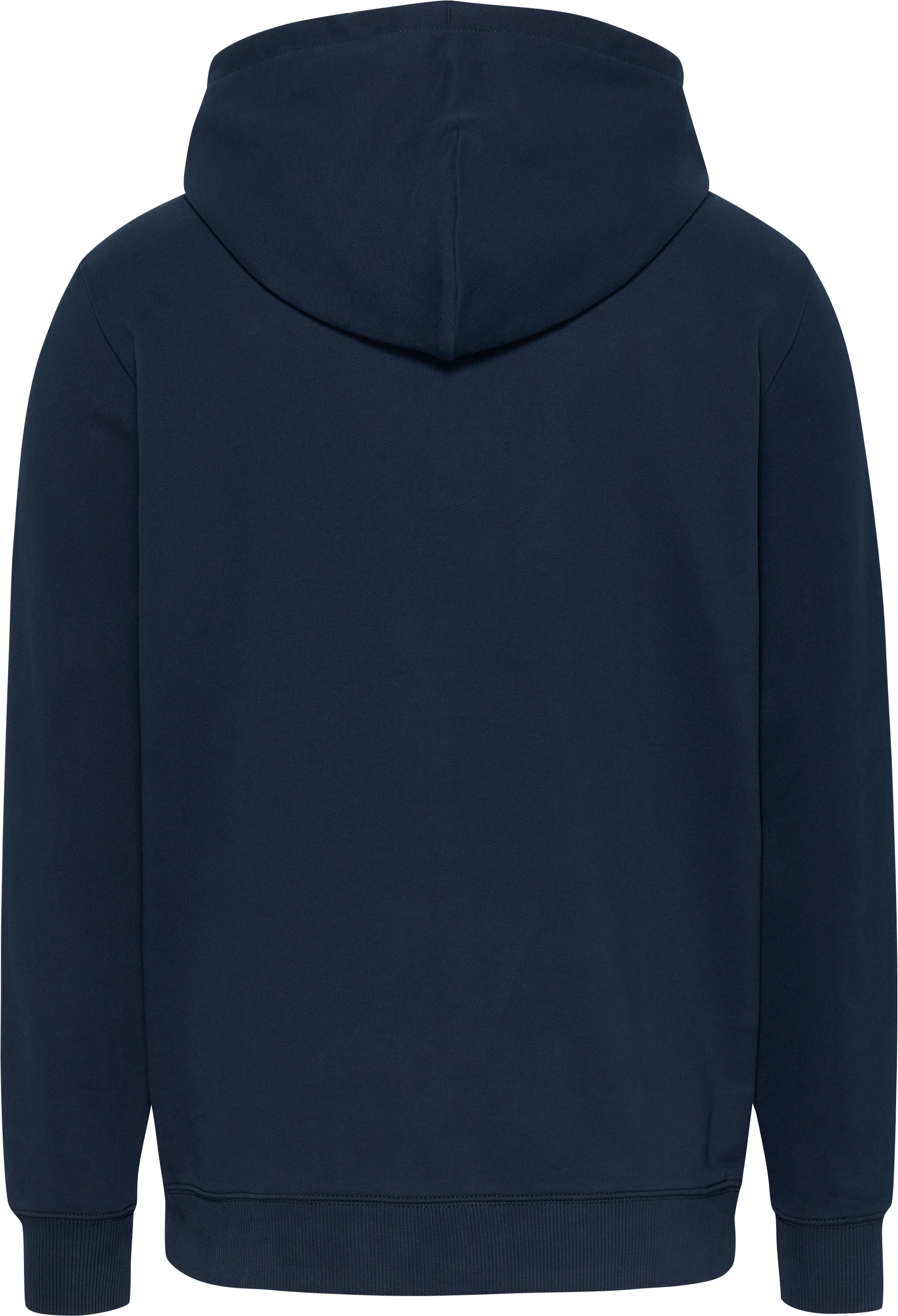 Tommy Jeans Hoodie »TJM REG ENTRY GRAPHIC HOODIE EXT«, mit Logo