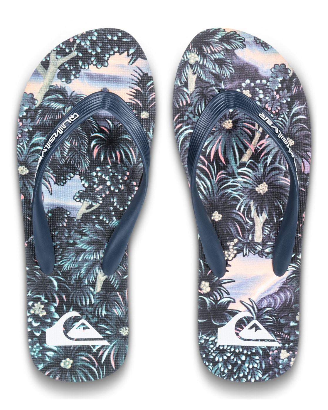 Quiksilver Sandale »Molokai Art 25«