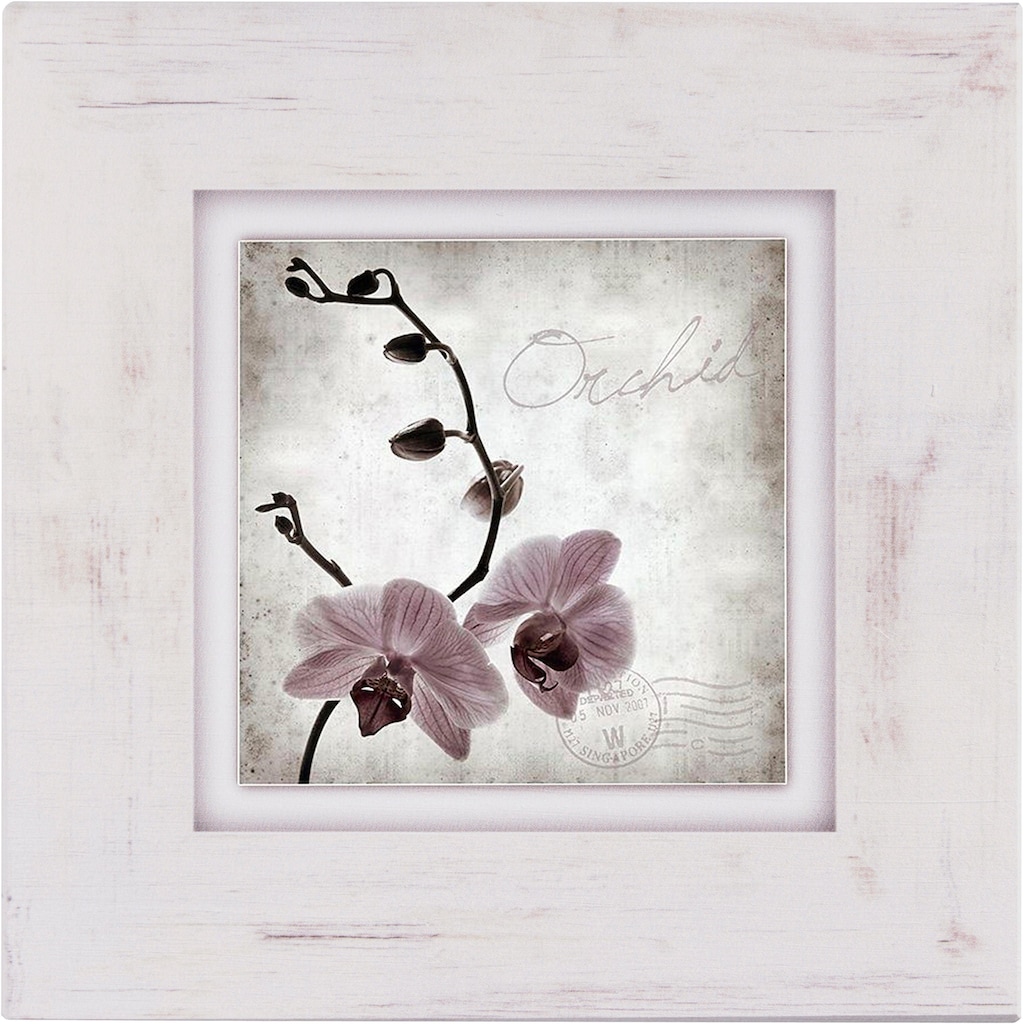 Home affaire Holzbild »Orchidee«